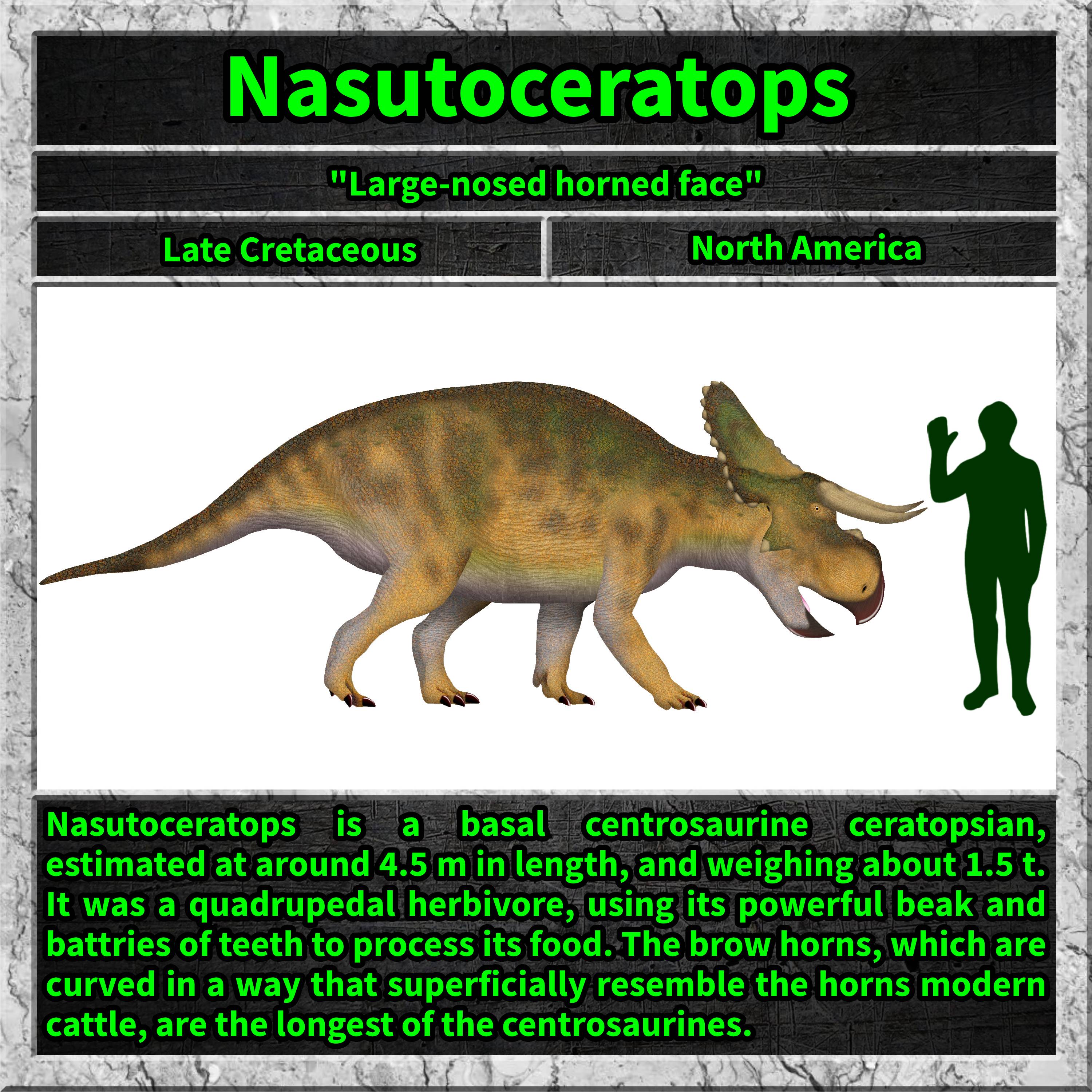Meet the fascinating Nasutoceratops: A dinosaur like no other!