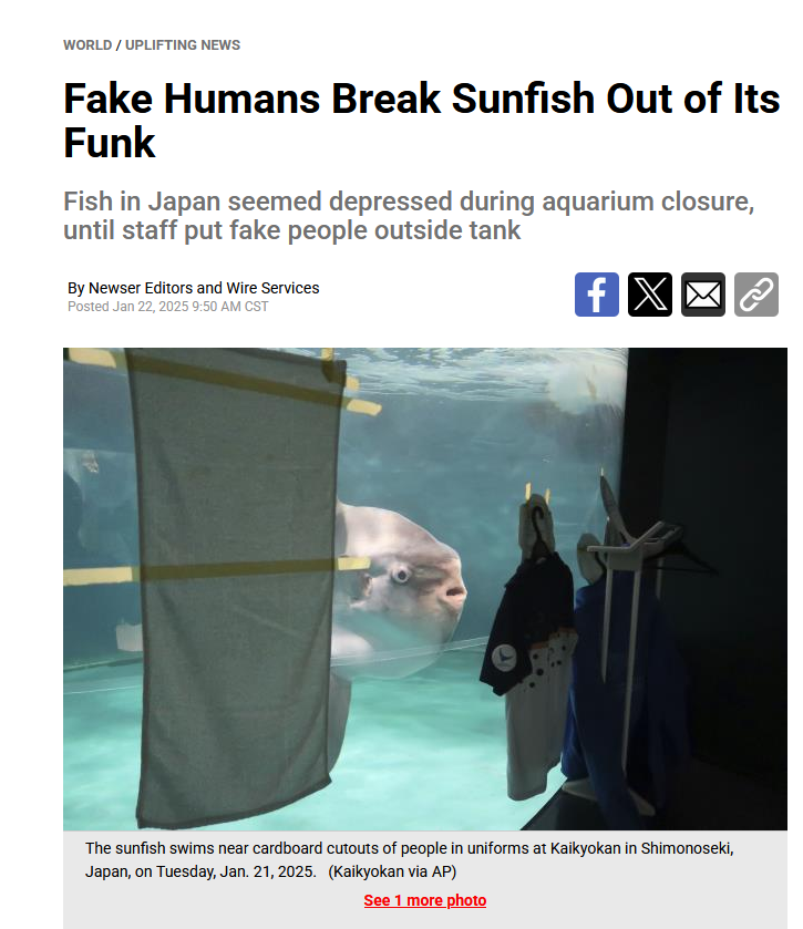 Today I Learned: Fish Can Experience Depression and Even Stockholm Syndrome.