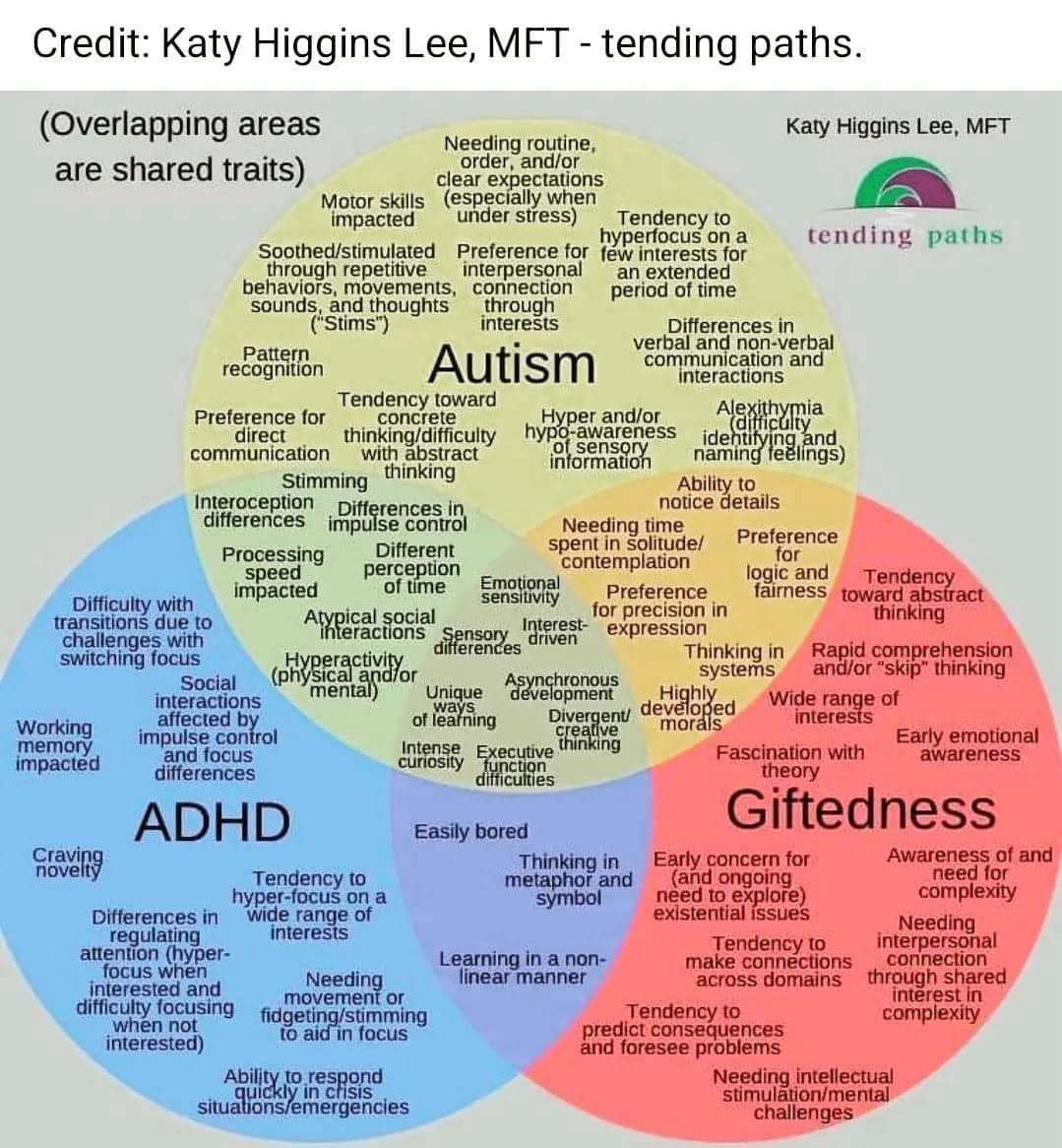 Can't Get Enough of Those Venn Diagrams!