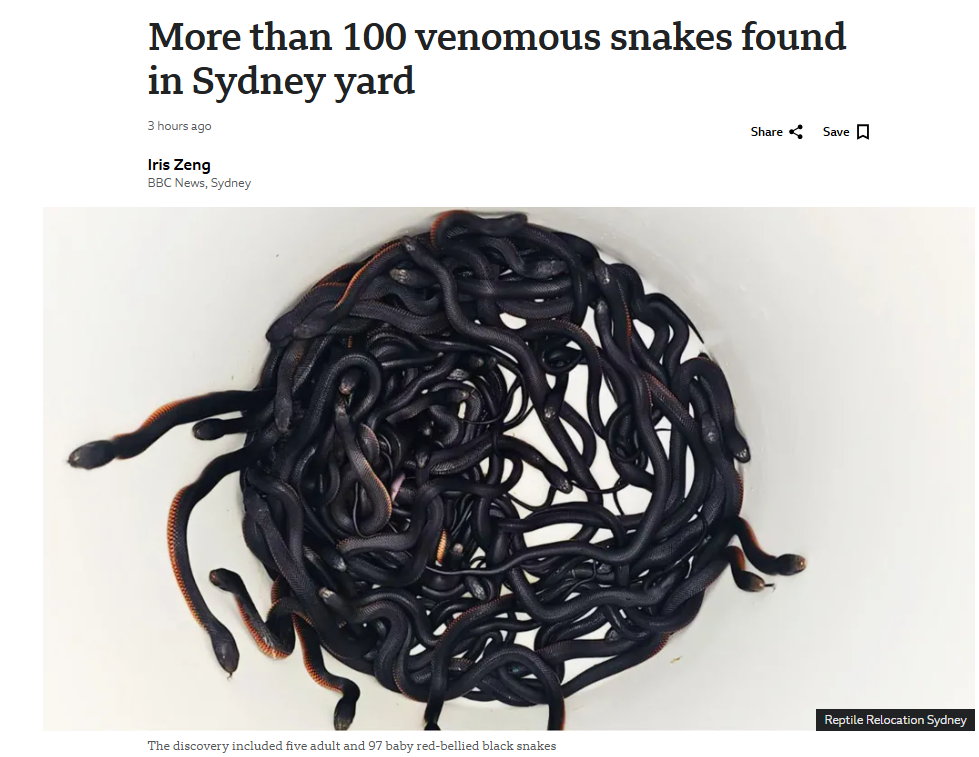 You've heard of 101 Dalmatians? Well, Australia has 102 danger noodles!