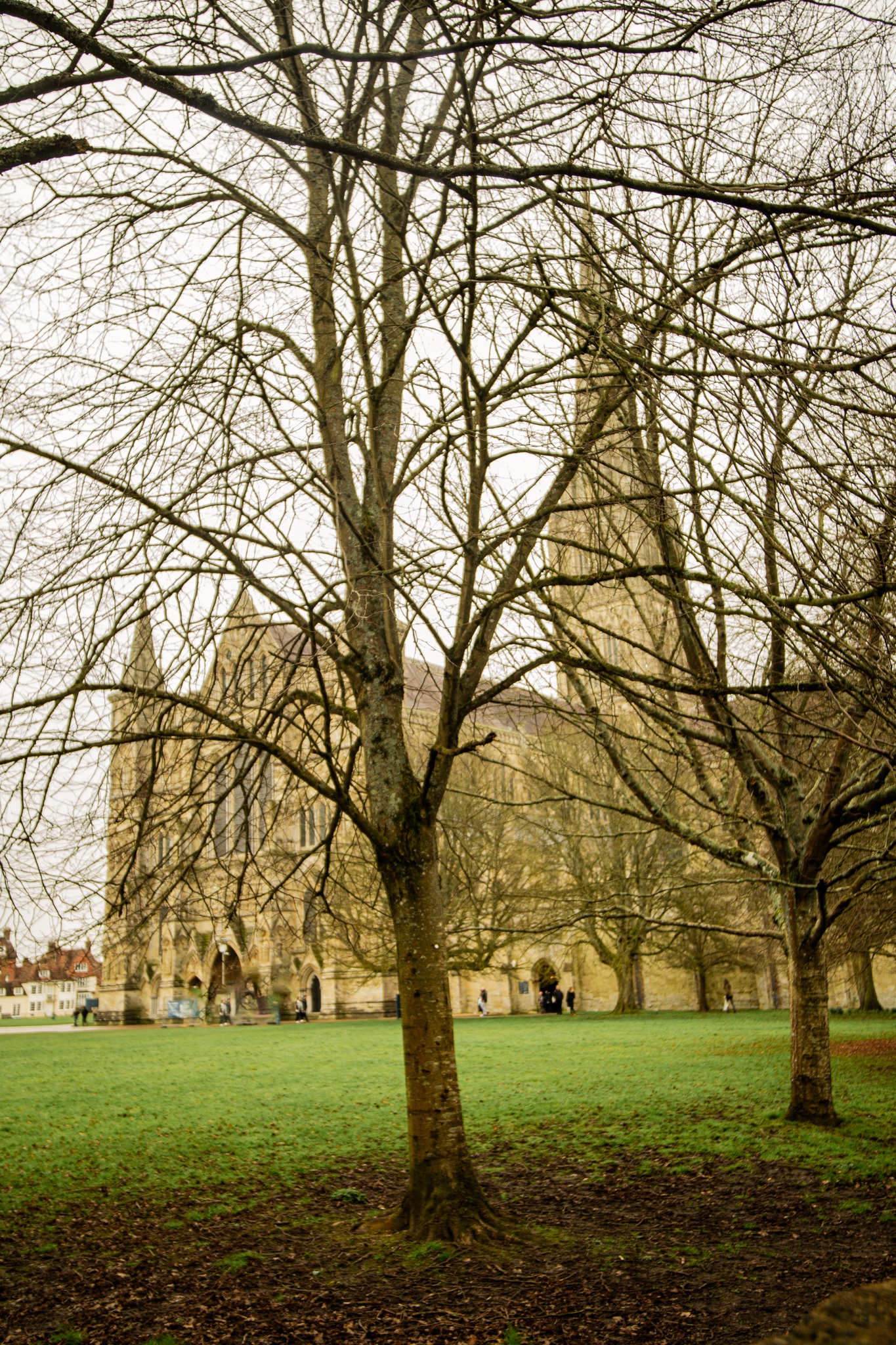 A glimpse of the stunning Salisbury Cathedral.
