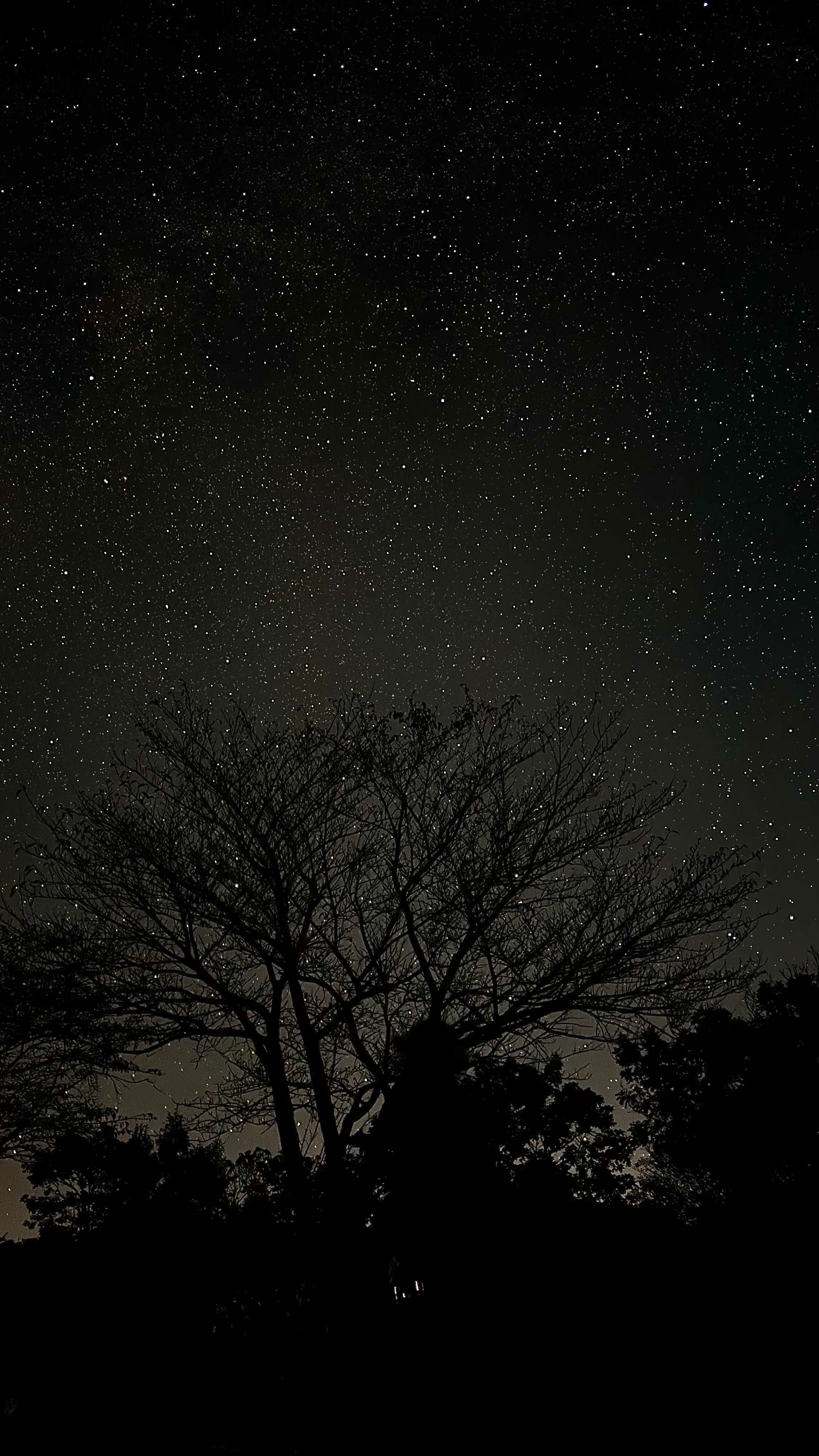 Captured a stunning night photo on a mountain at 2 a.m. with a starry sky!