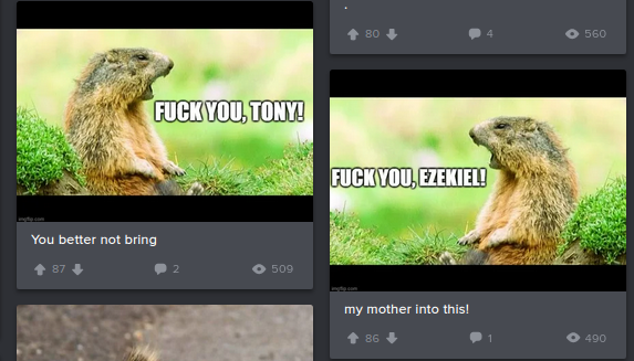 Perfectly Arranged for Acorn Lovers Upon Logging In