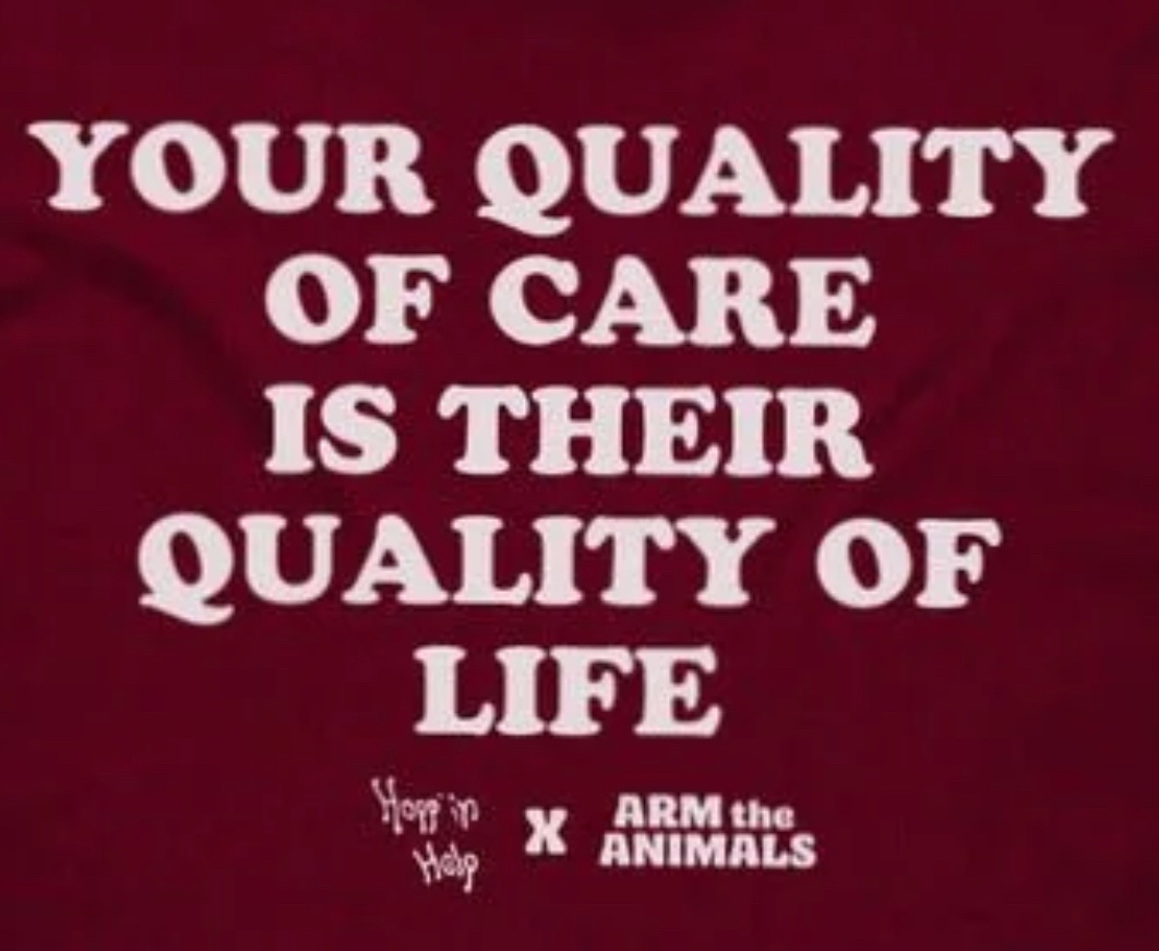 The Struggle for Quality Care in Today's World