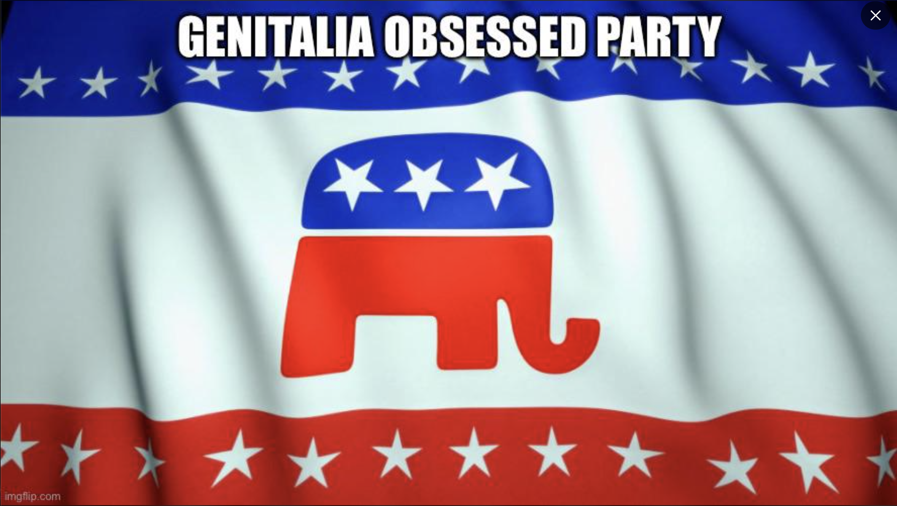 The G.O.P. Chronicles