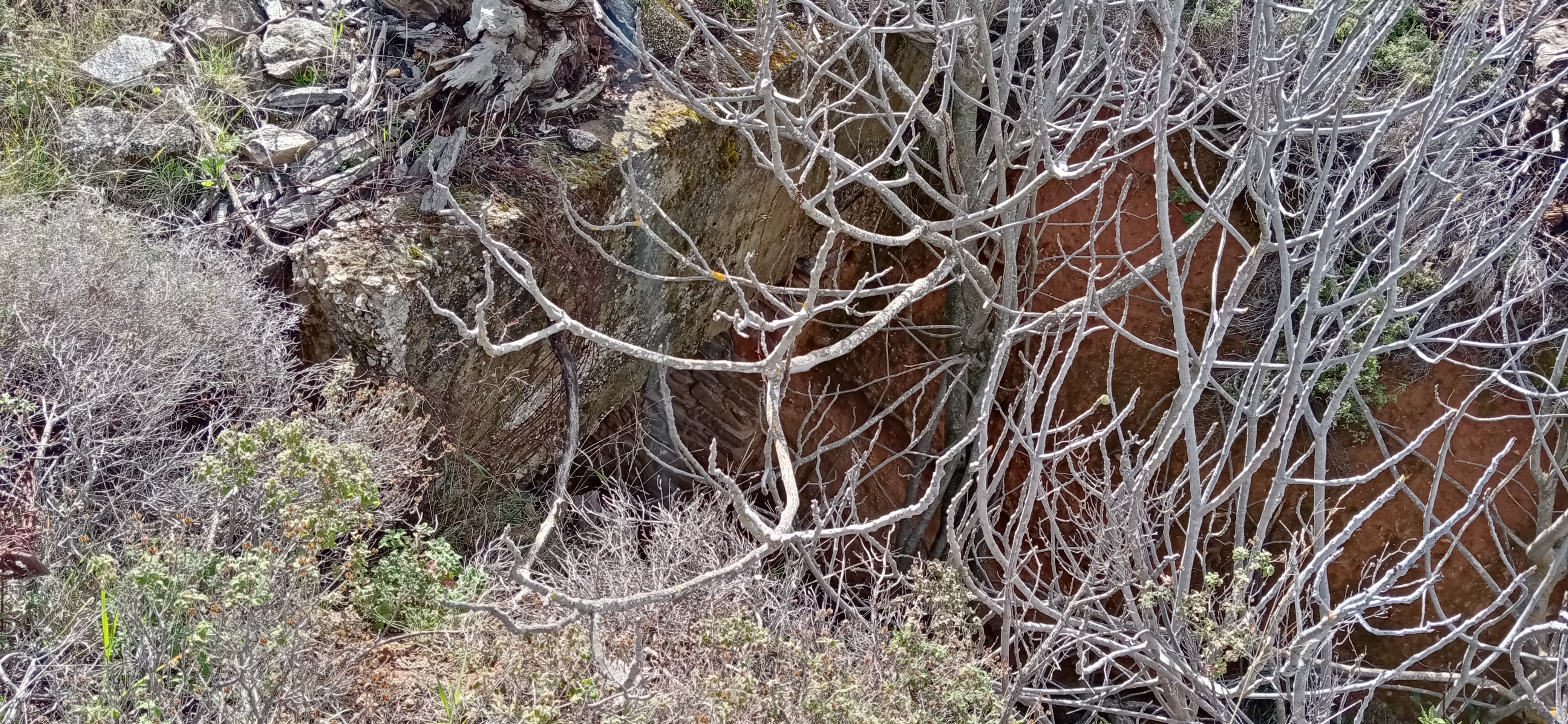 Hidden Gem: A Mysterious Stone Bridge Off the Beaten Path