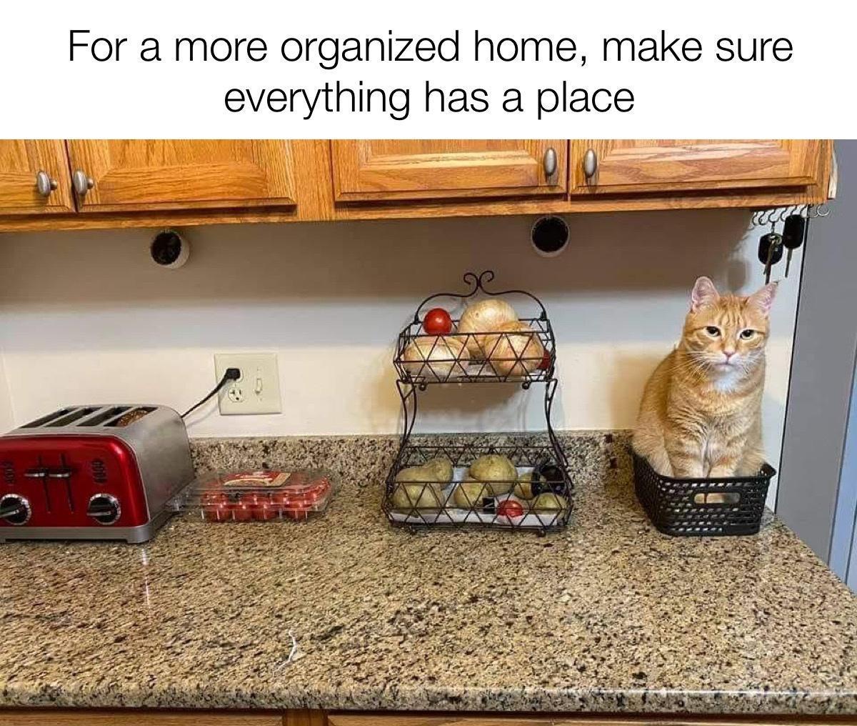 Time to Tidy Up: The Cleanup Chronicles