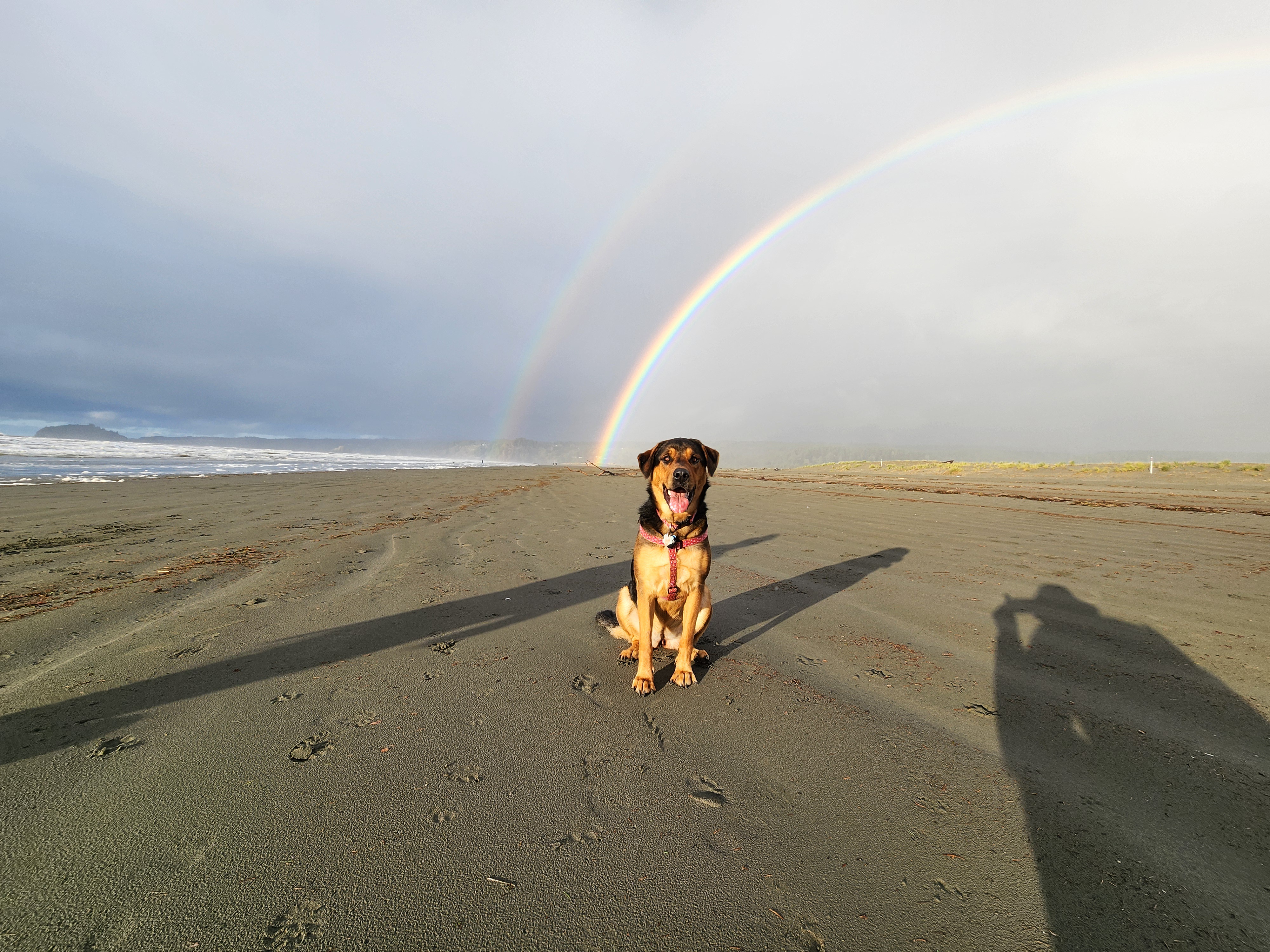 Freyja showcasing her incredible skills once again.