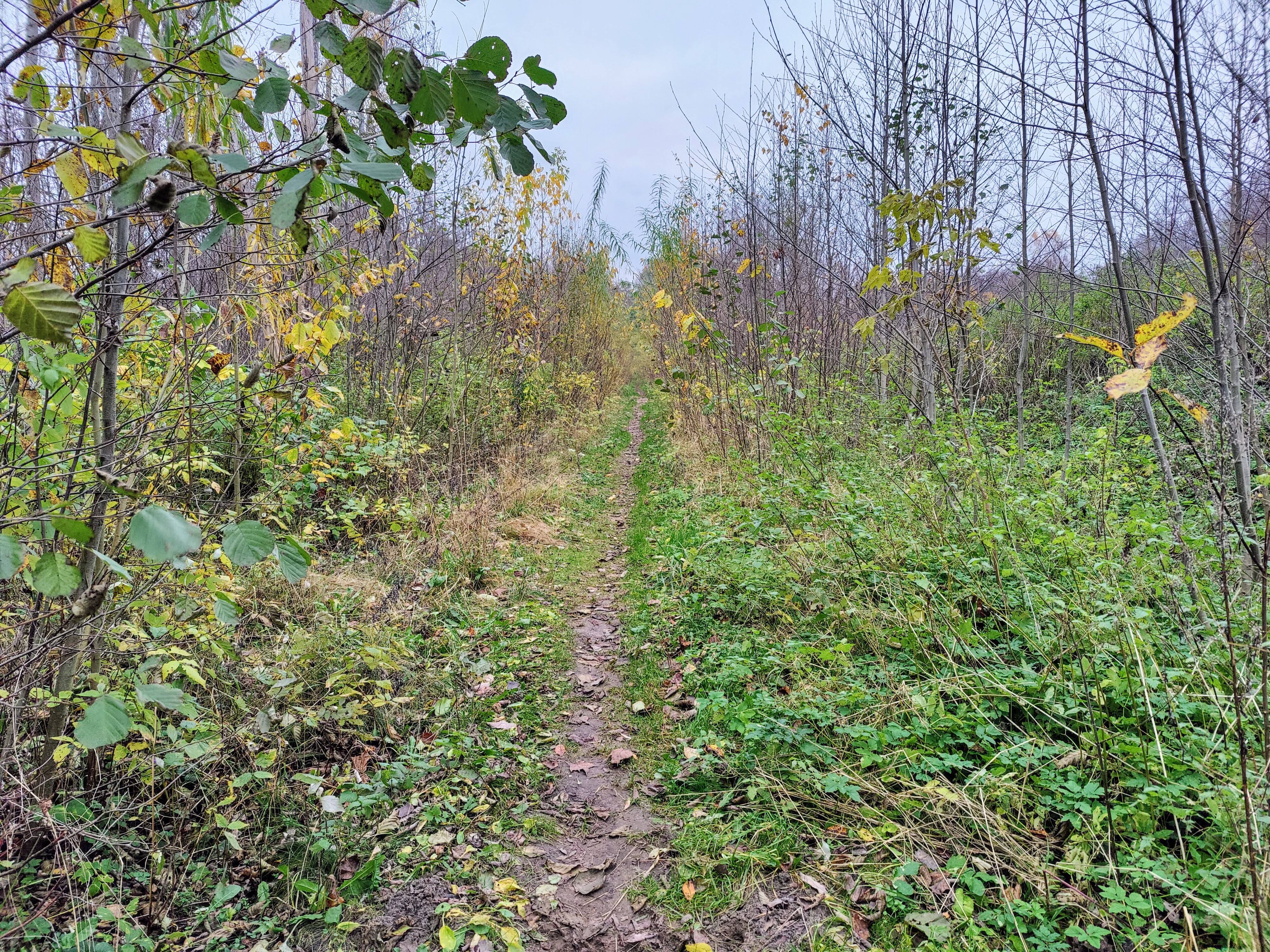 Tracking My Hiking Progress: A Journey