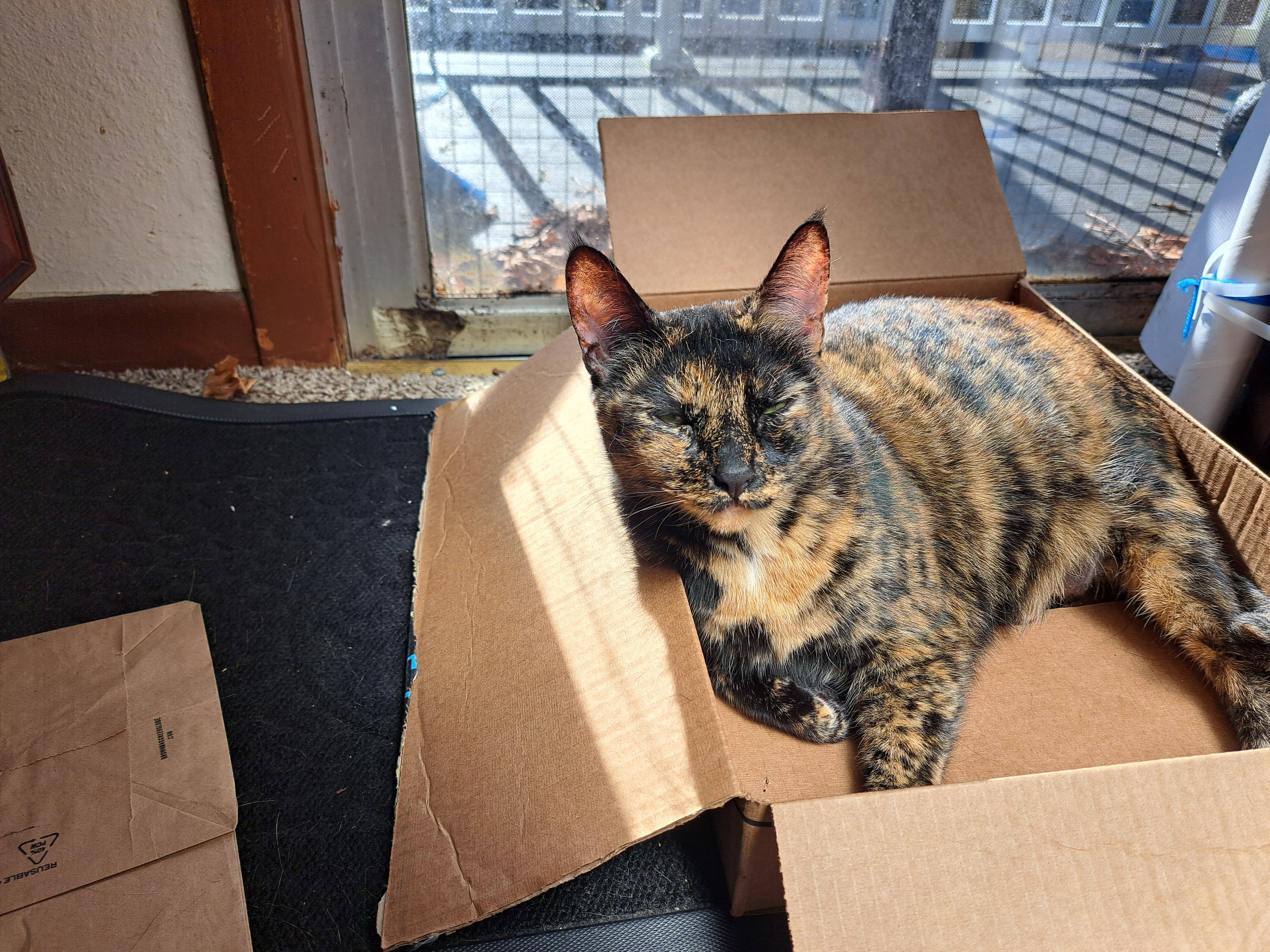 She has a soft spot for boxes...