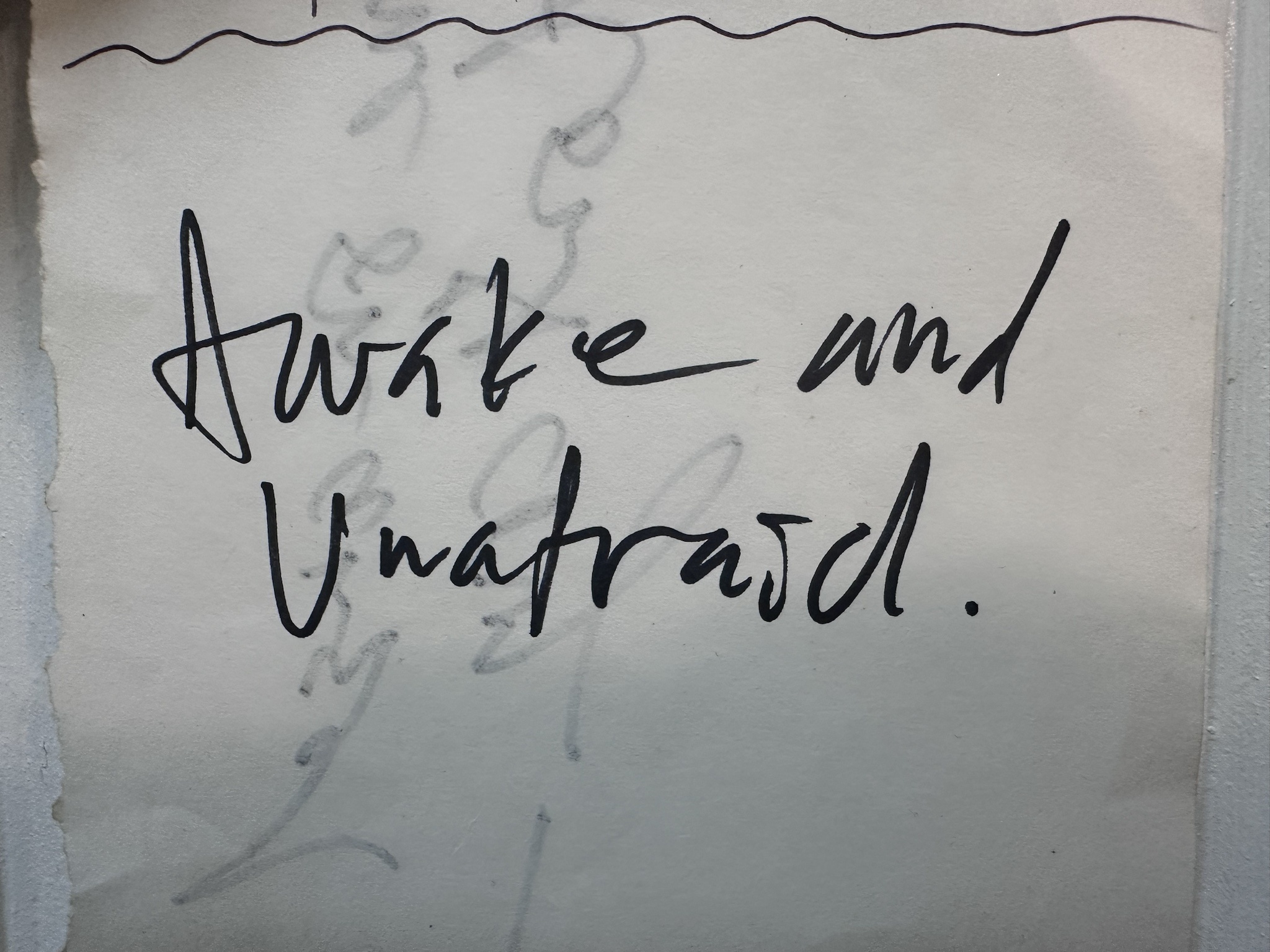 Awake and Unafraid: A Message from the Angels