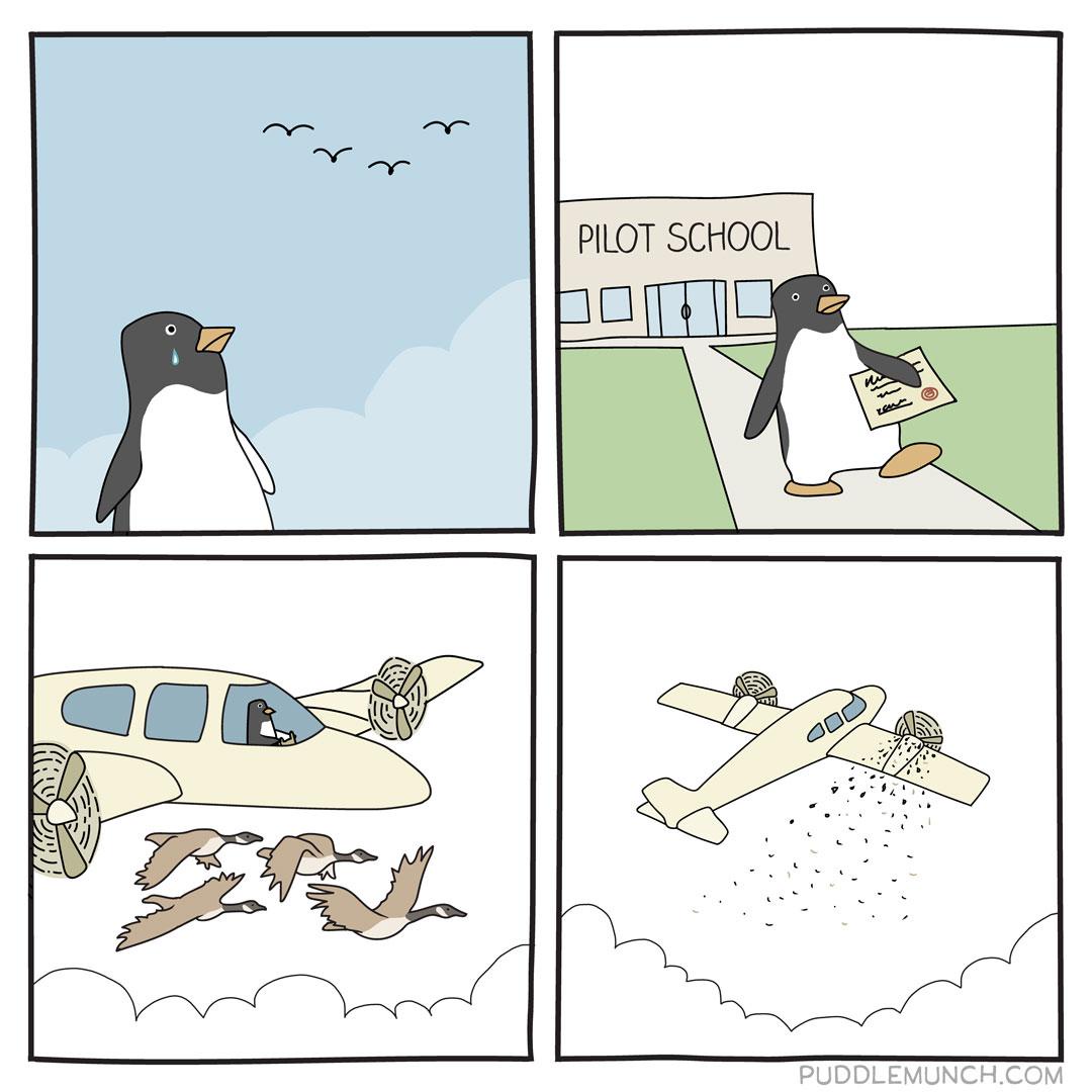 Soaring Through the Skies: The Joy of Flying