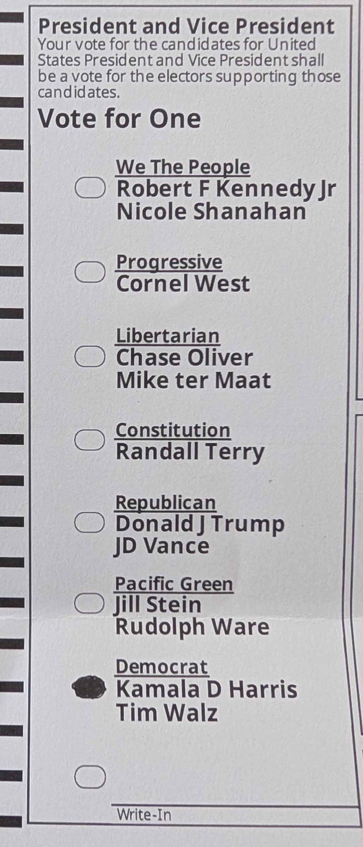 I Cast My Vote!