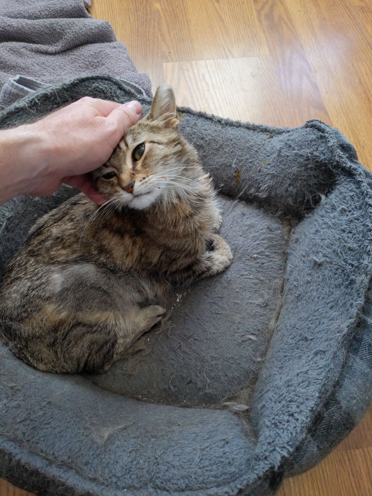 Farewell, Lil Bit - You'll be missed!