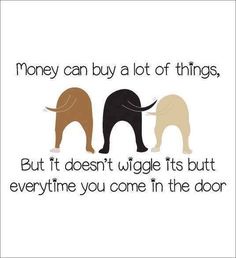 Pawsitively Hilarious: The Ultimate Dog Meme