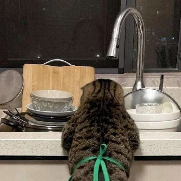 I swear, no one helps me around this house! ><