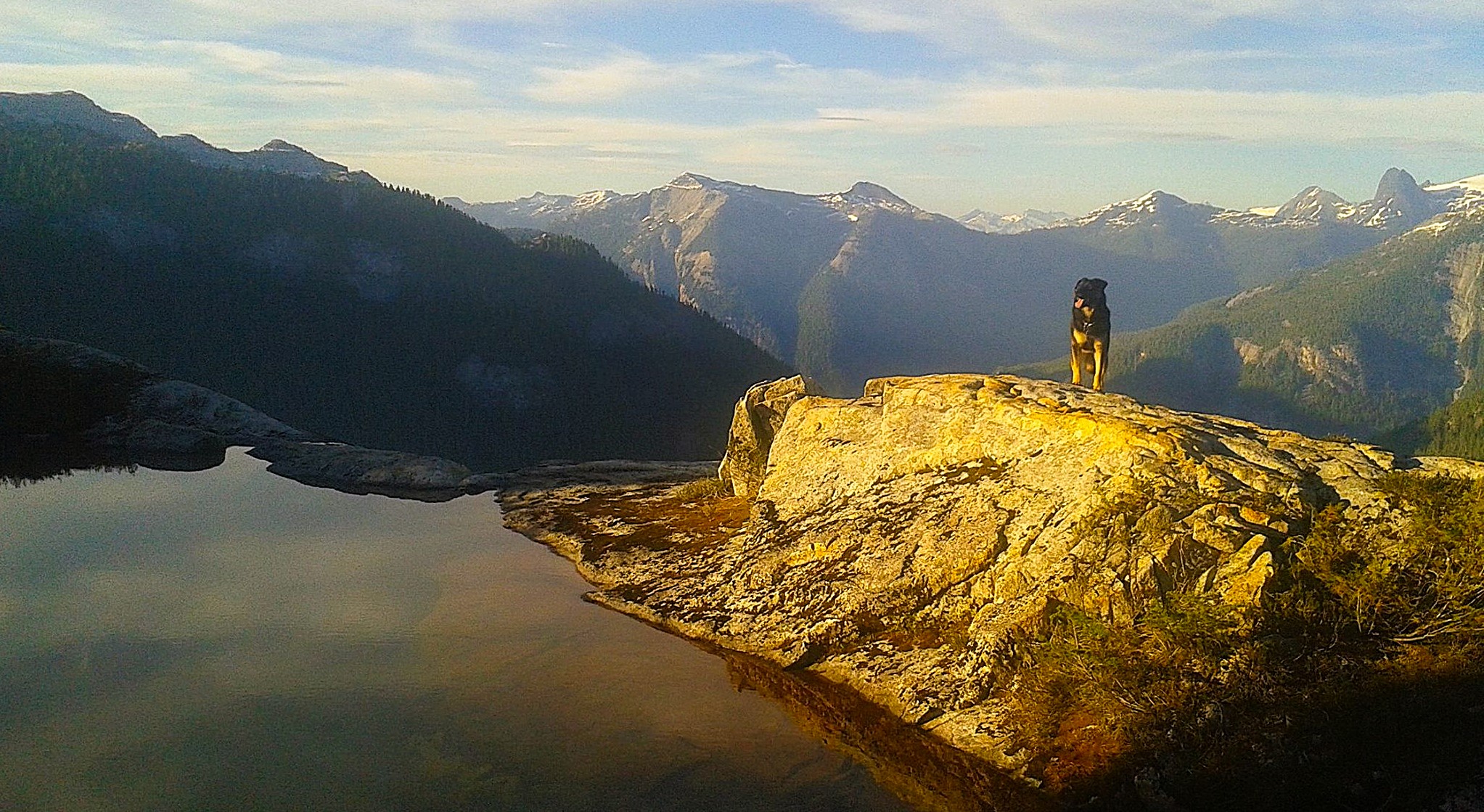 Baxter's Endless Infinity Pool Experience