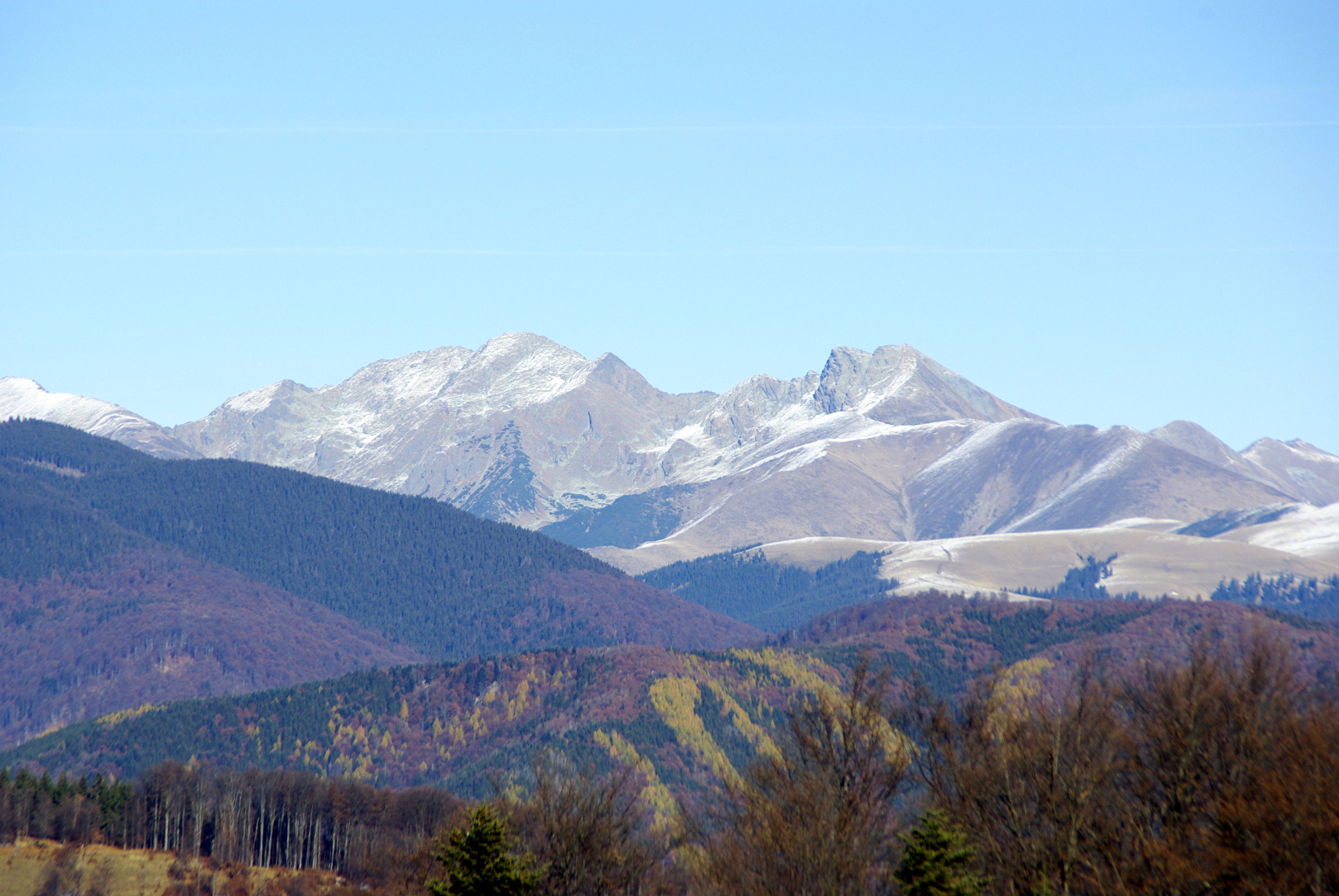 Exploring the Beauty of Poiana Spinului