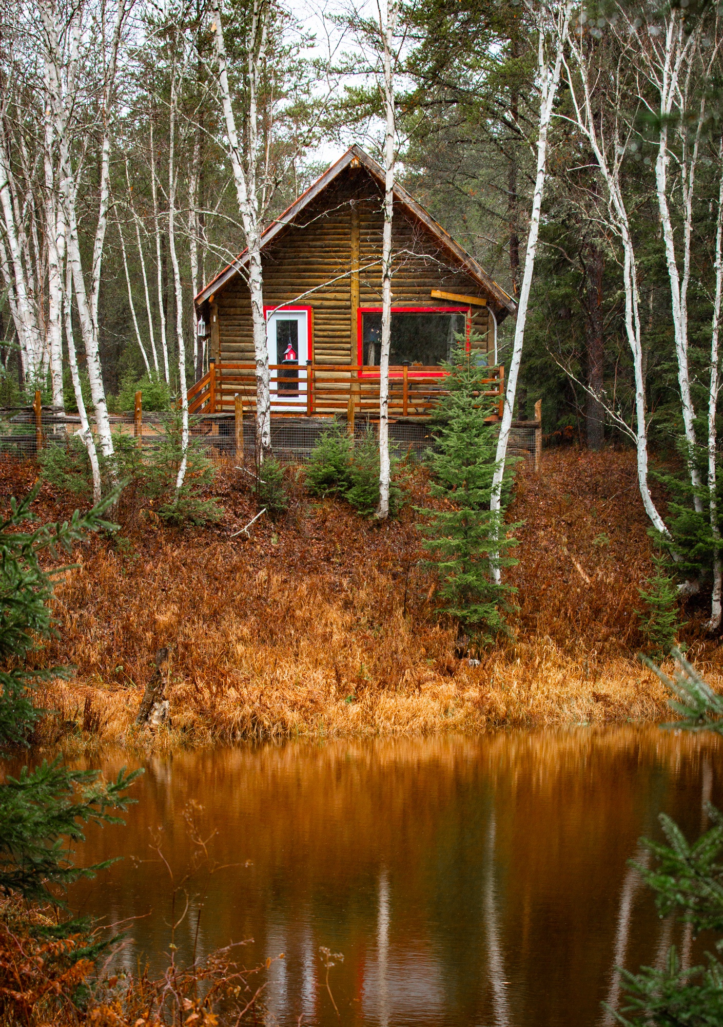 Just two days ago I was sleeping in my car, and now a kind stranger has offered me shelter in this beautiful chalet. The kindness of humanity is truly remarkable.