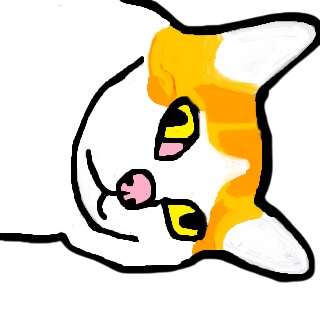 The Feline Chronicles: A Cat's Life