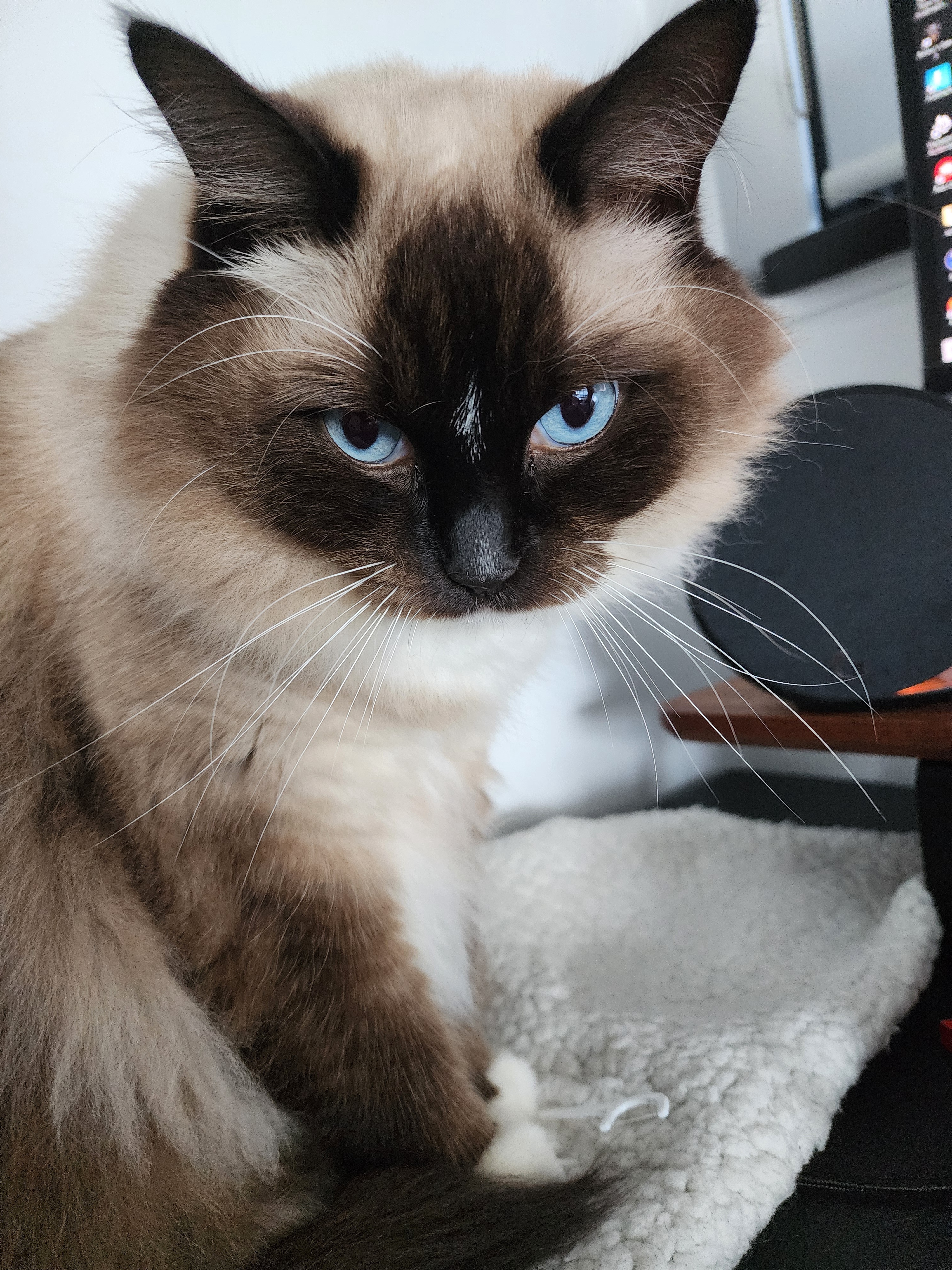 Loki reassures us: better days are ahead for those feeling down.