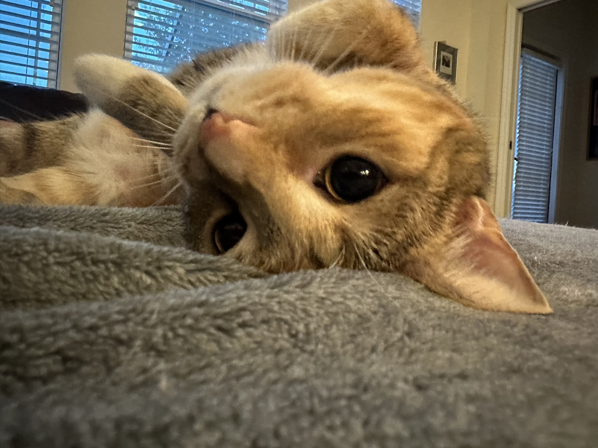 Autumn Might Just Know When I'm About to Snap Her Photo