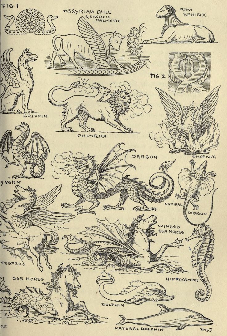 The Mythical Chimera: A Creature of Legends