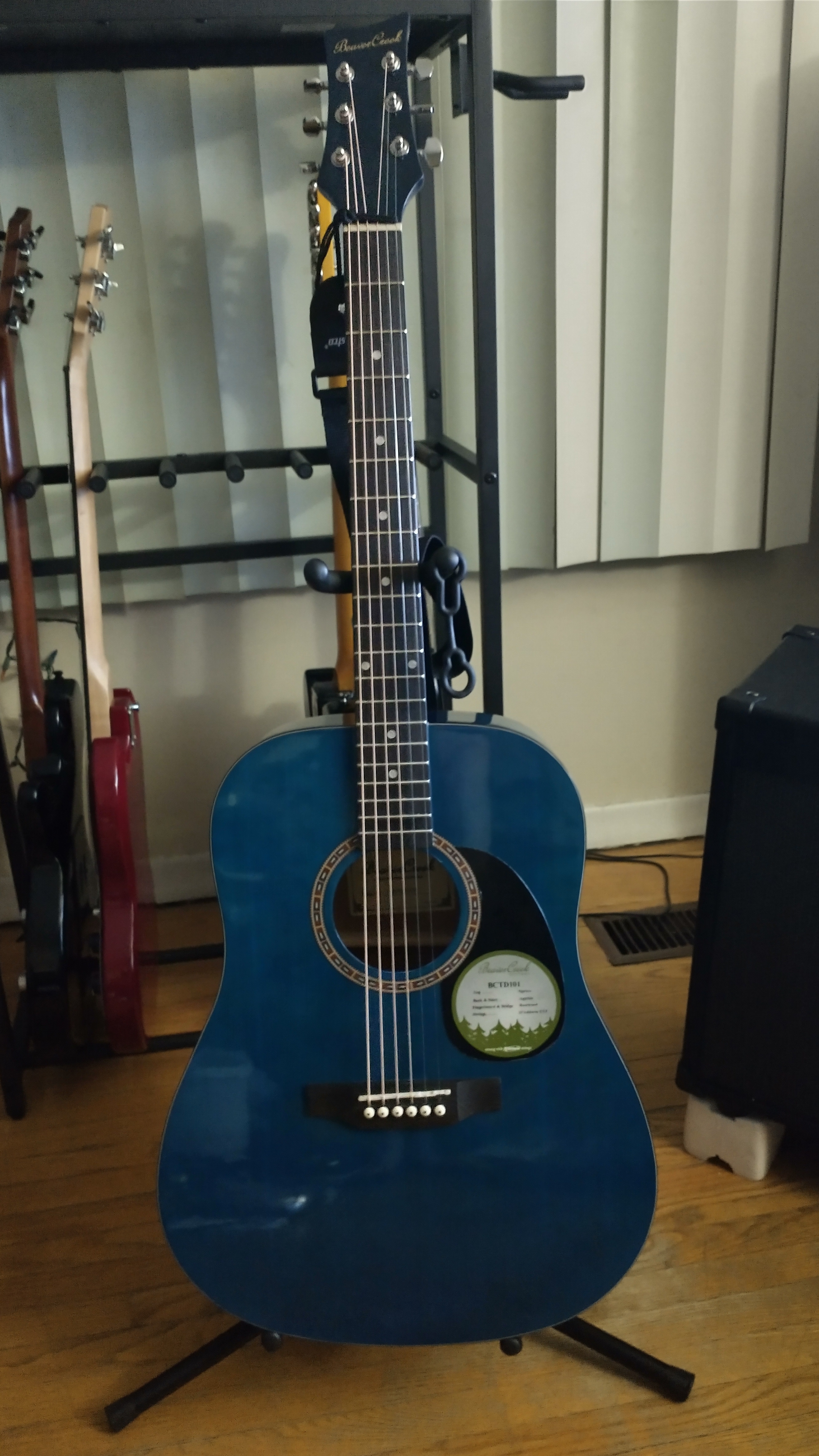 A Showcase of My Beloved Guitar Gear