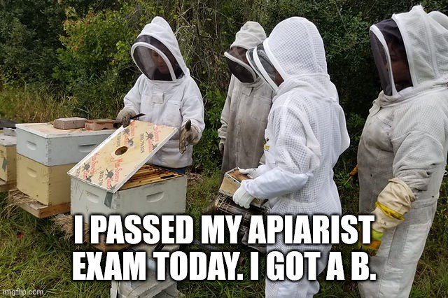 What an Exciting Buzz!