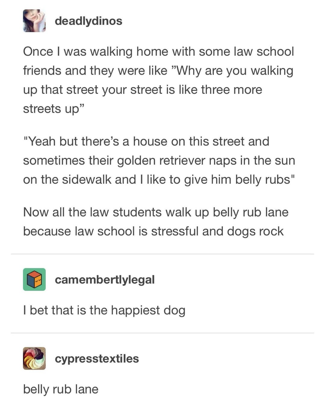 Welcome to Belly Rub Lane: A Place for Cuddles