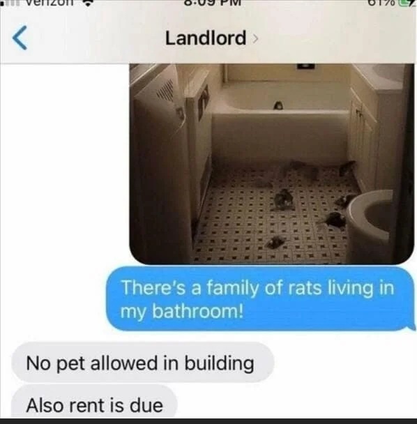 The classic landlord experience...