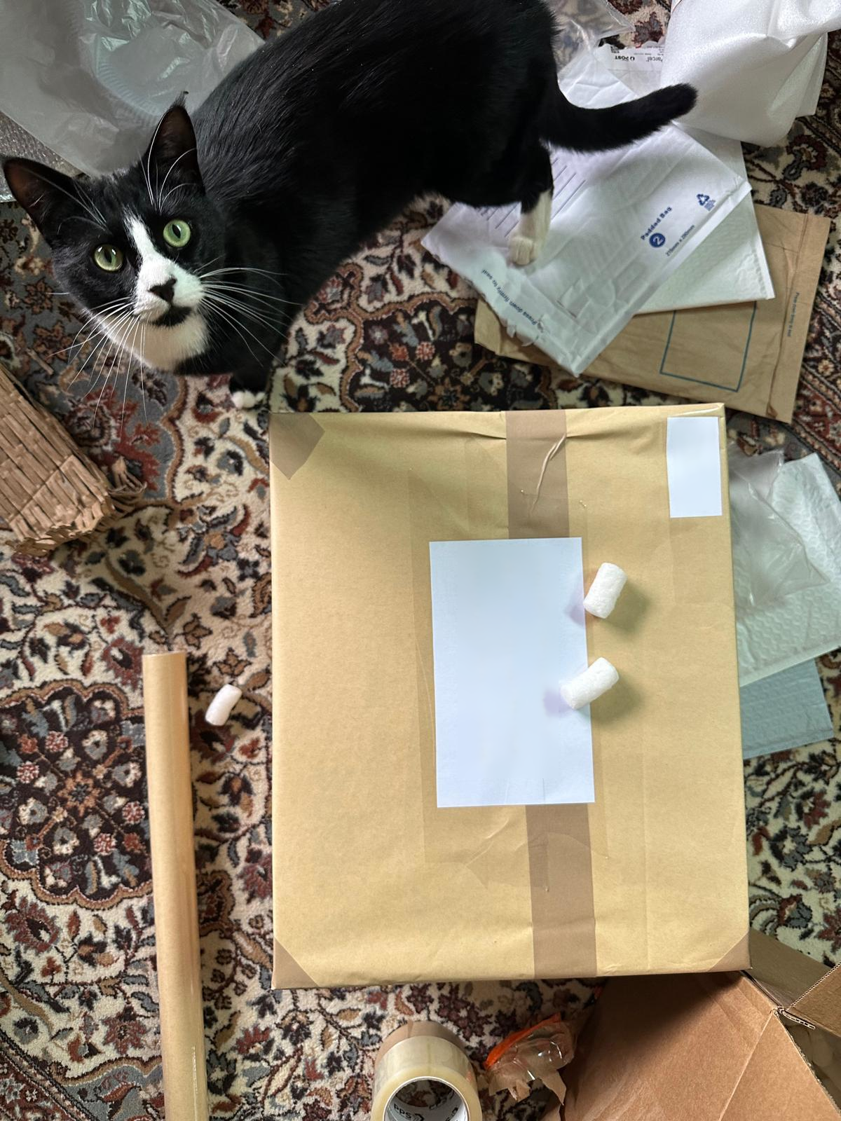 Is This for Me? Wait, Is It Really for Me?