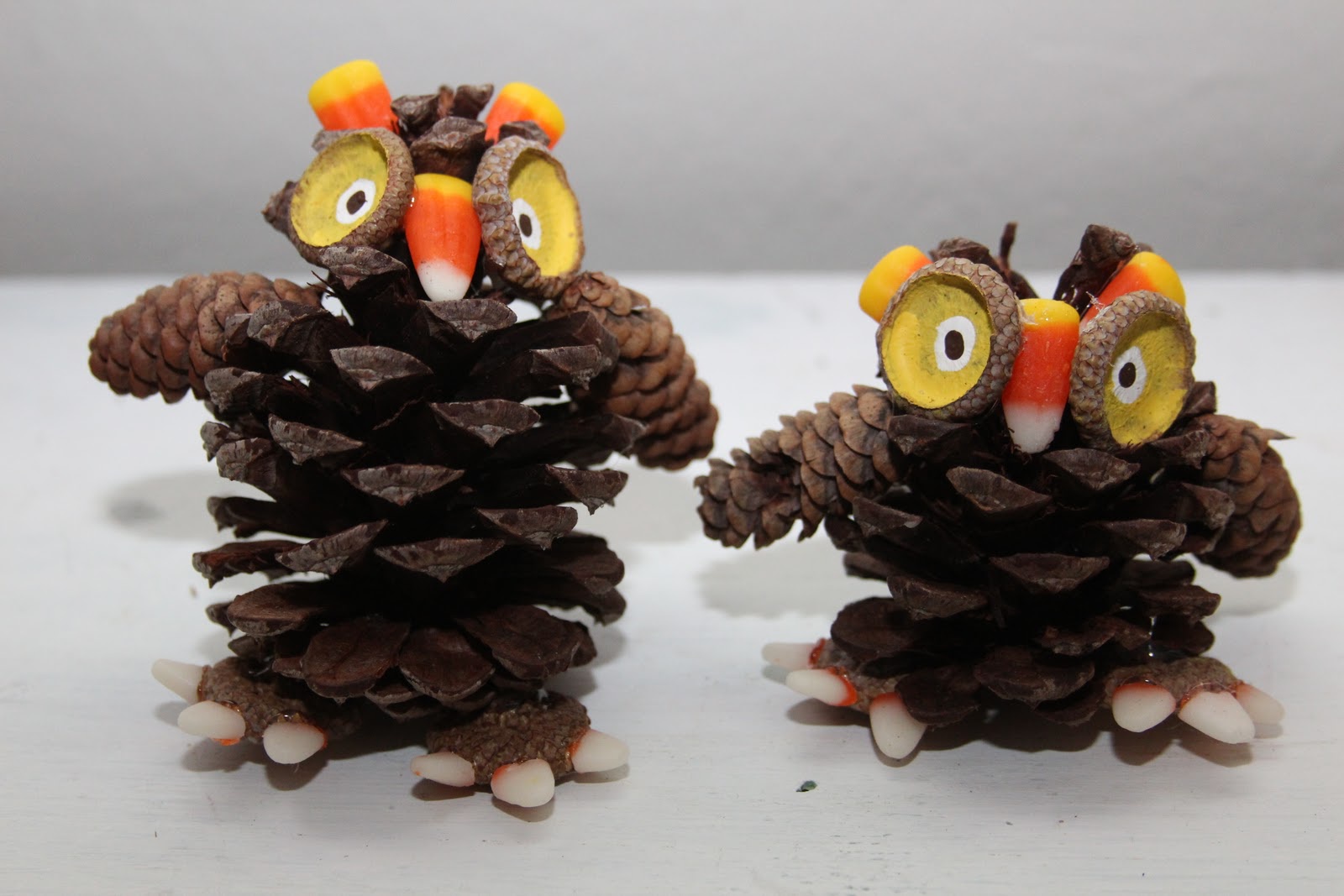 Team Pinecone is Ready to Toss Some Balls!