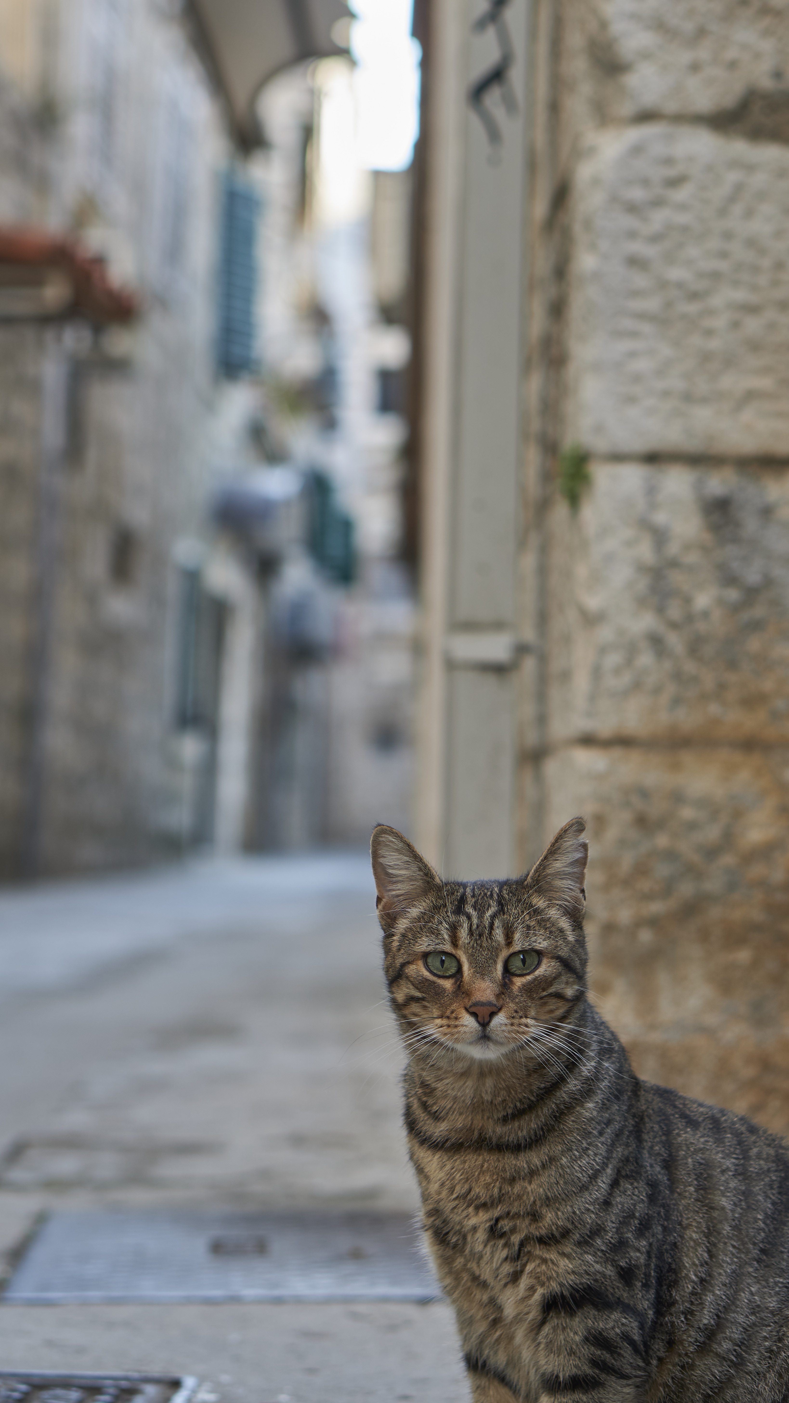 The Neighborhood Watch: Keeping an Eye Out