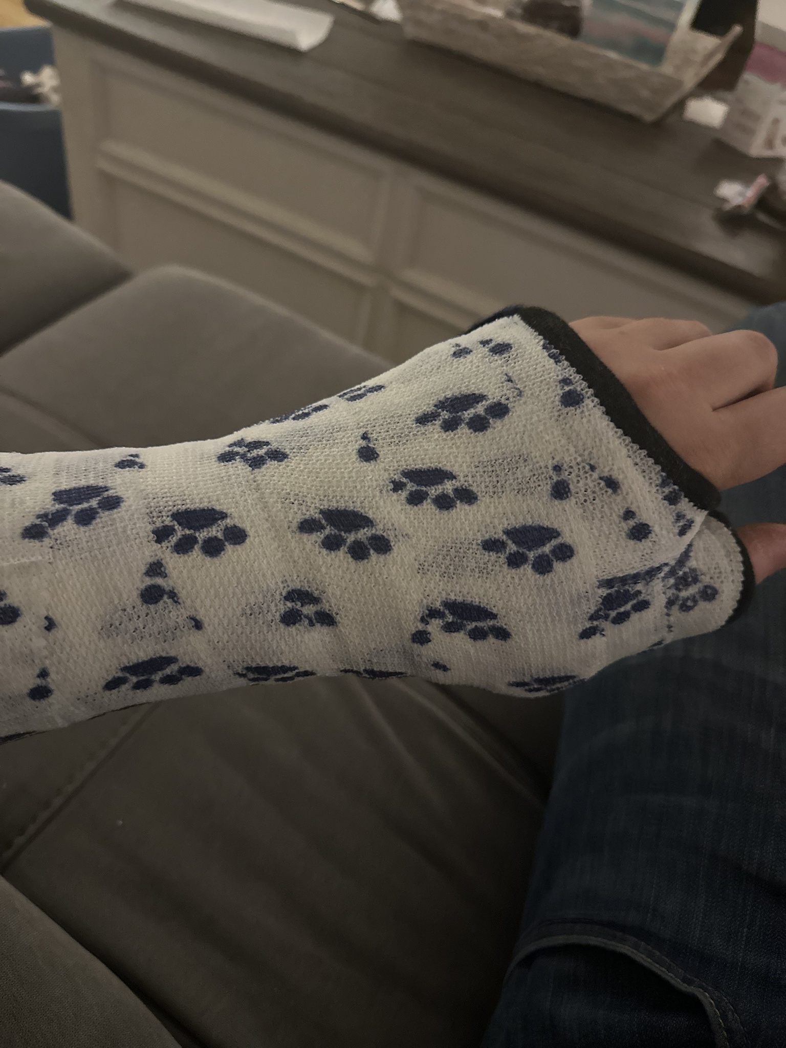Impressions of a Paw Print: A Unique Cast