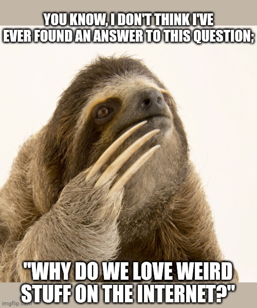 I’m Not Sure I Have the Solution