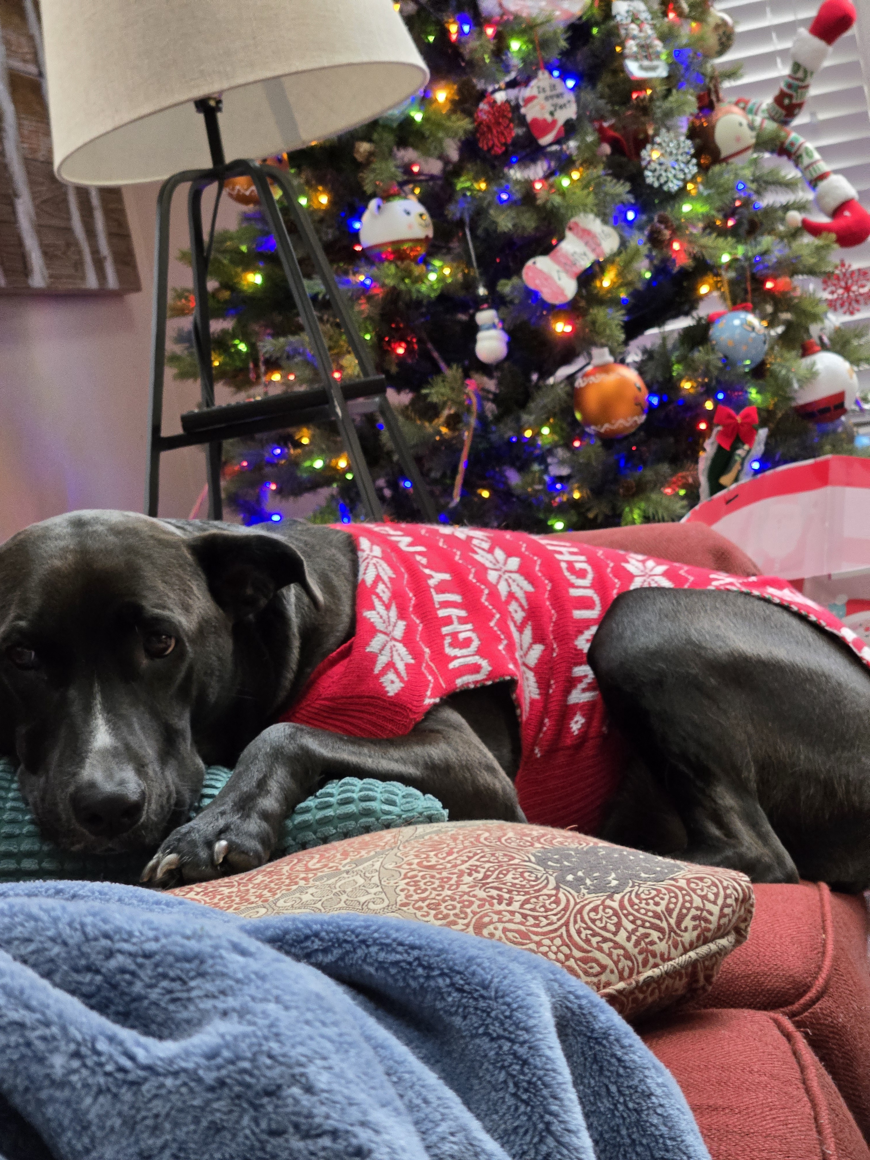 Wishing You a Merry Christmas Filled with Joy!