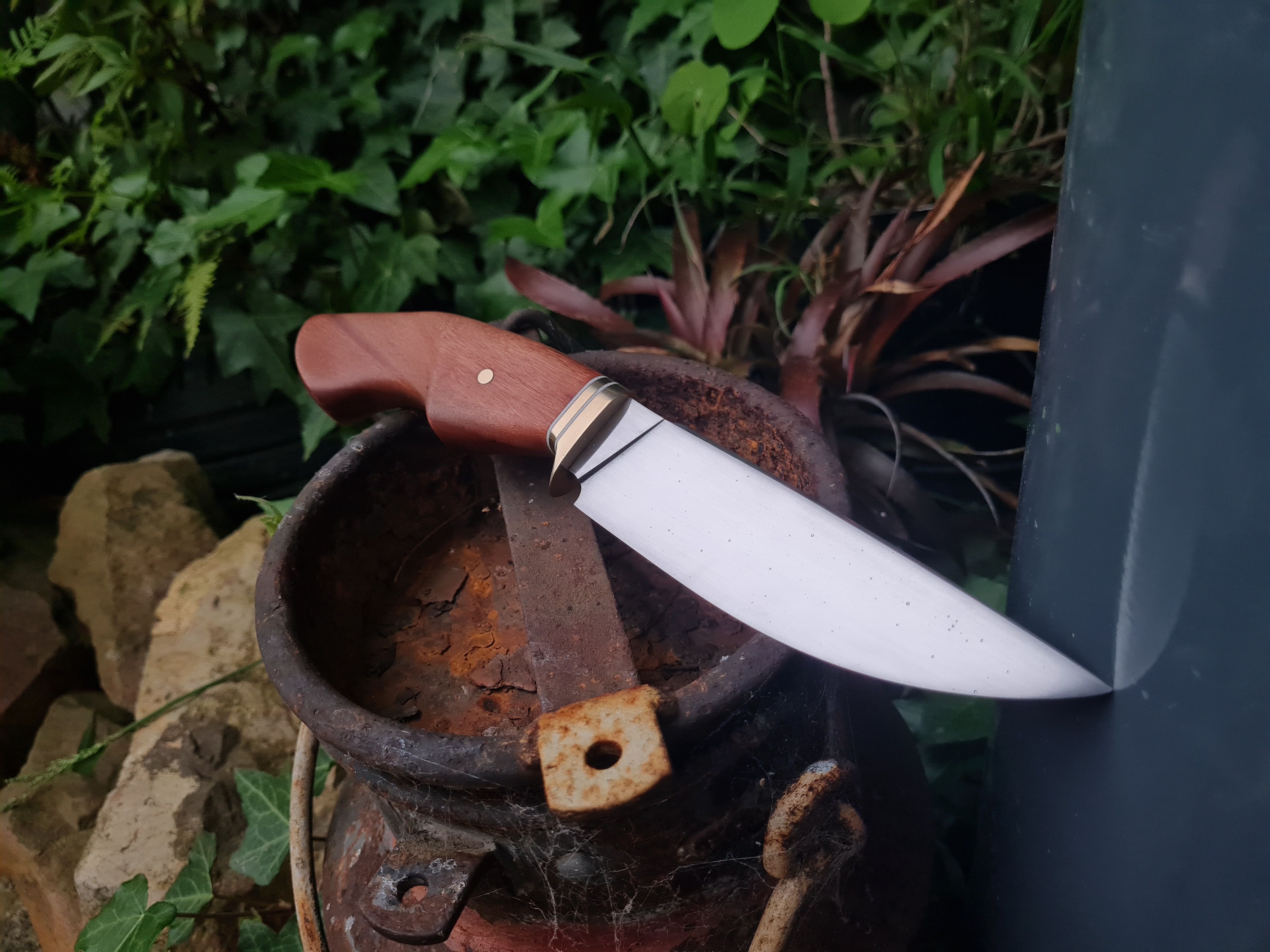 The Ultimate Kitchen Tool: Knife