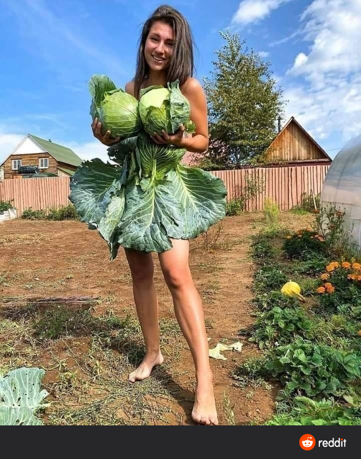 MY CABBAGES! The Epic Outcry