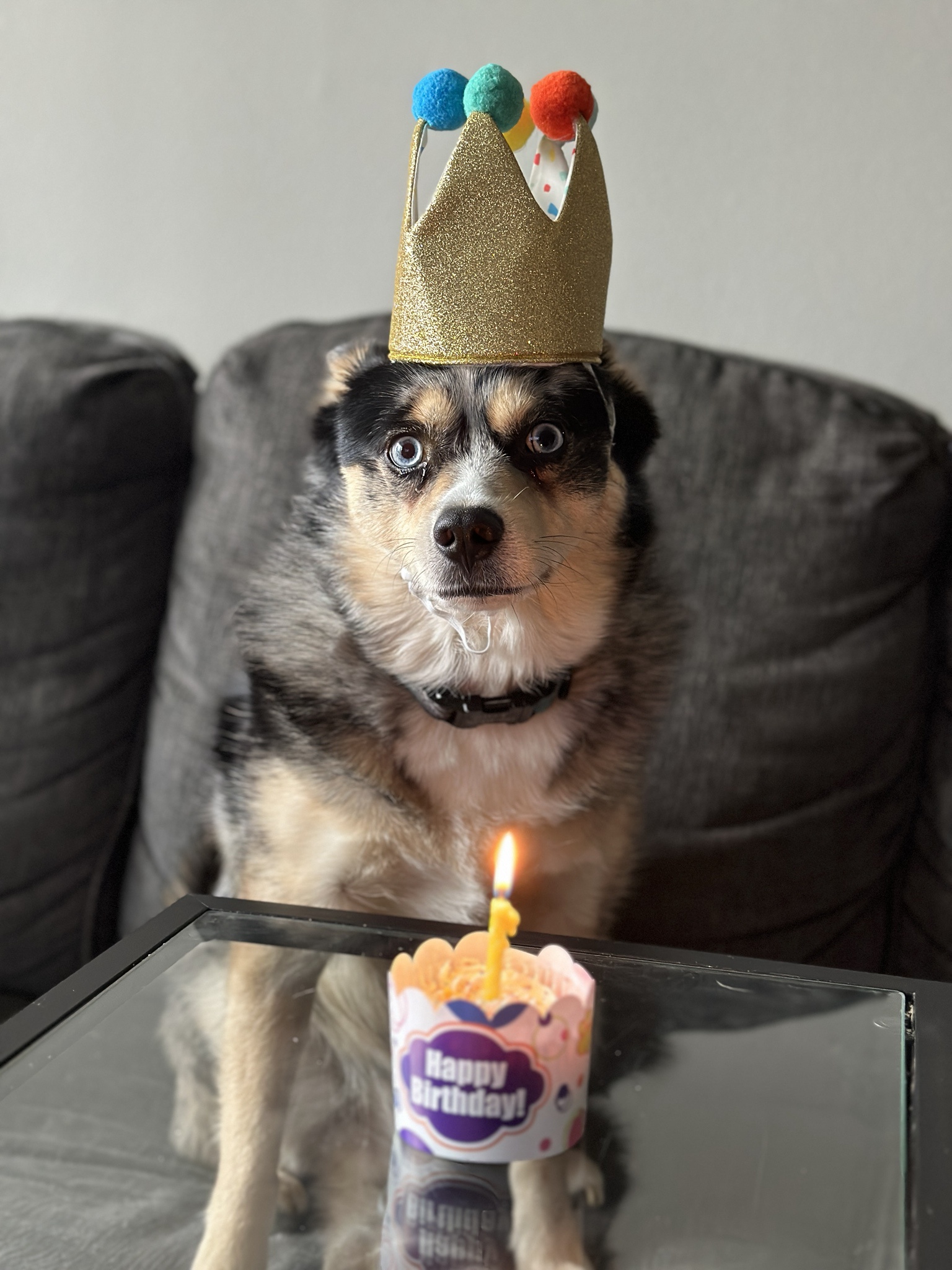 Celebrating Riot's Birthday in Style!
