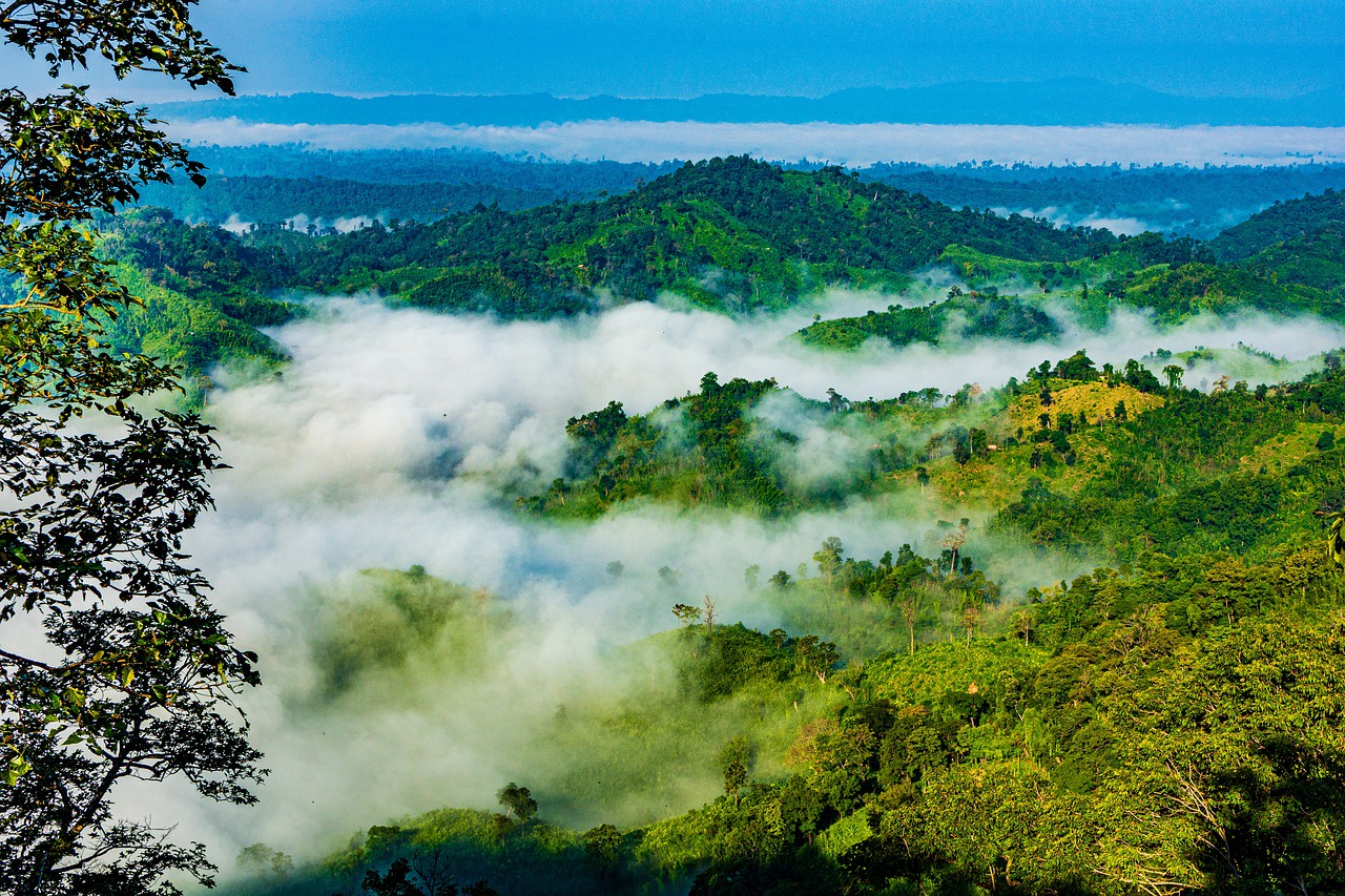 Exploring the Hills of Bangladesh