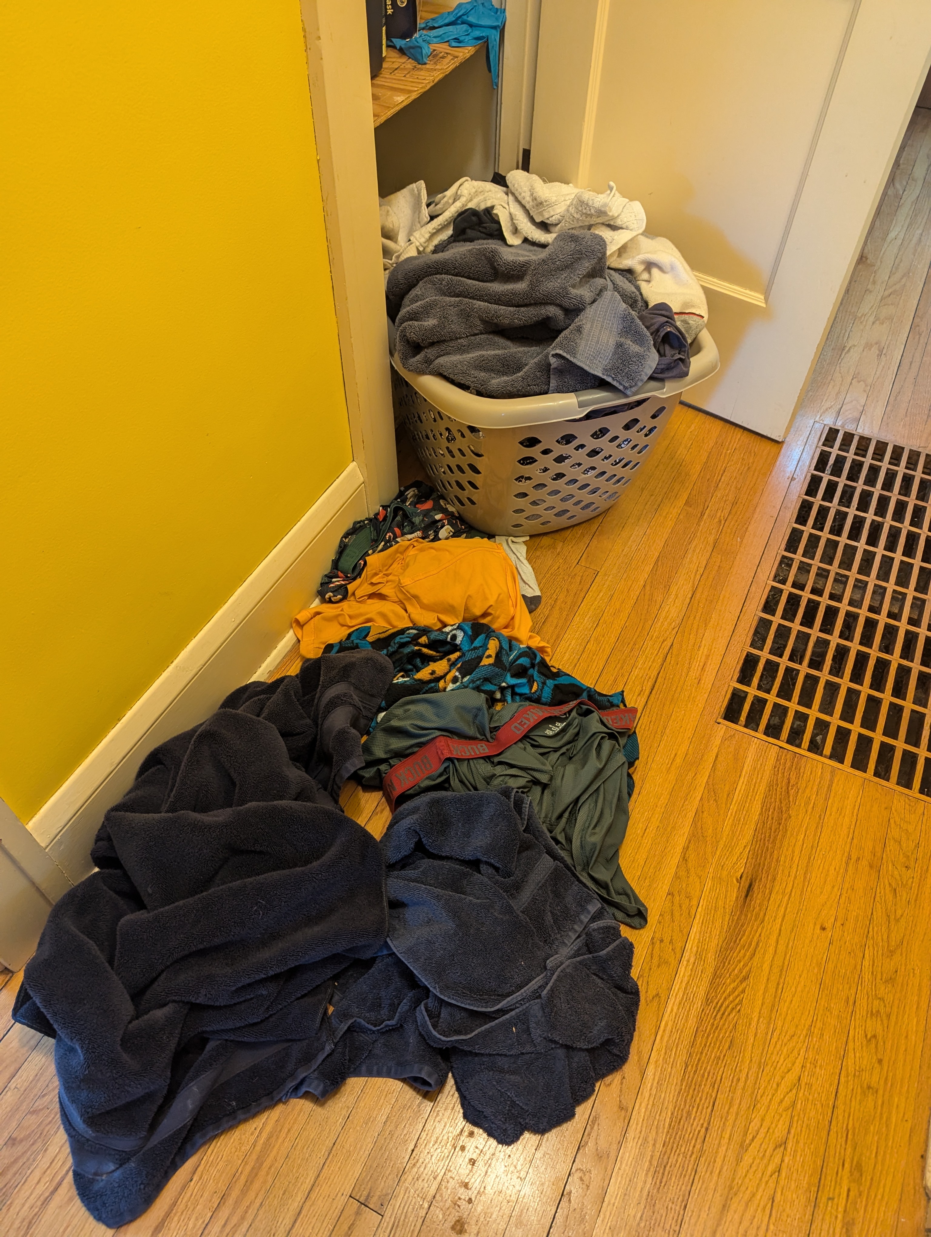 Join the Epic Laundry Marathon: A Bute-Sized Invitation!
