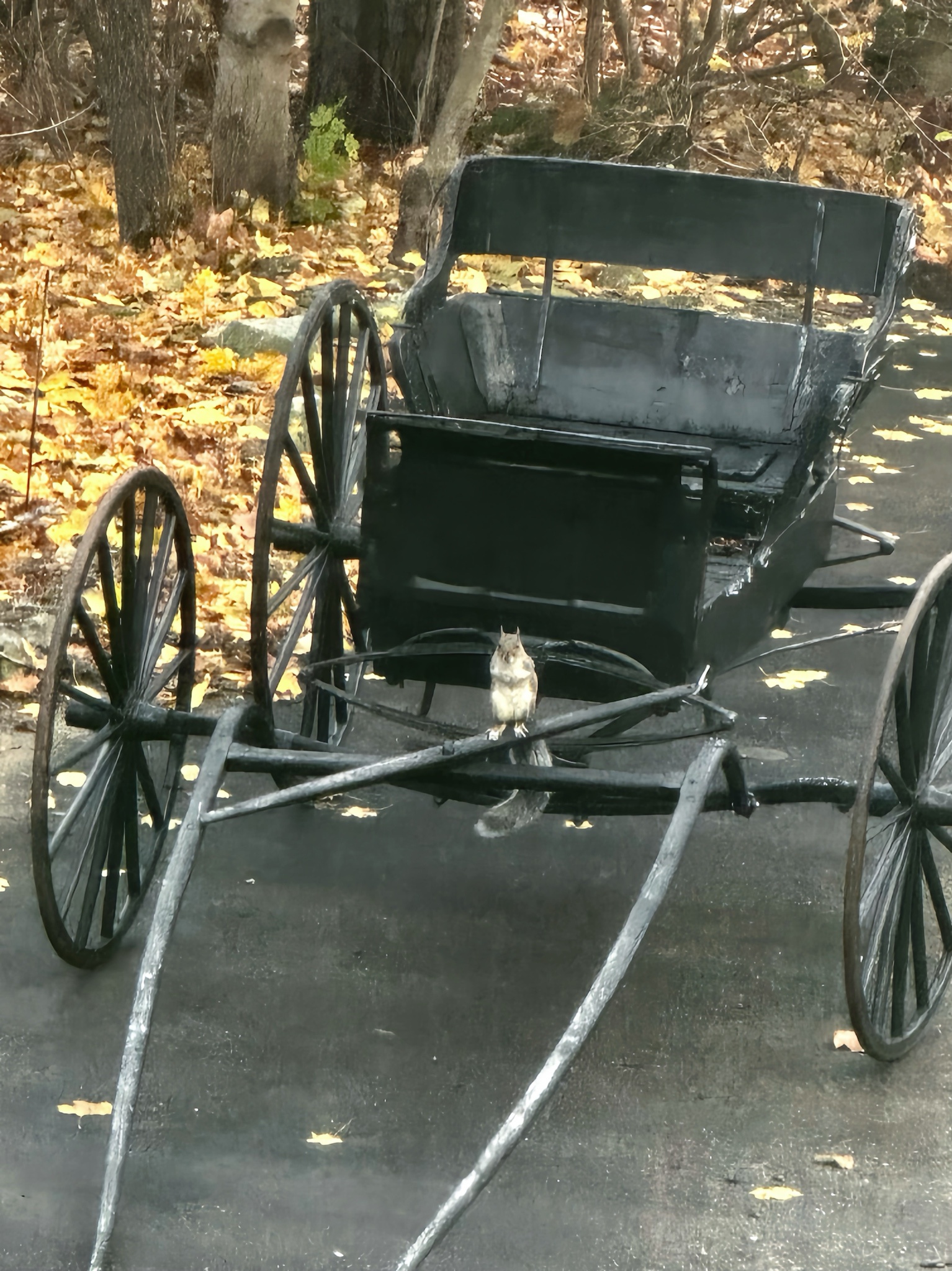 Time to dash, my Uber has arrived!