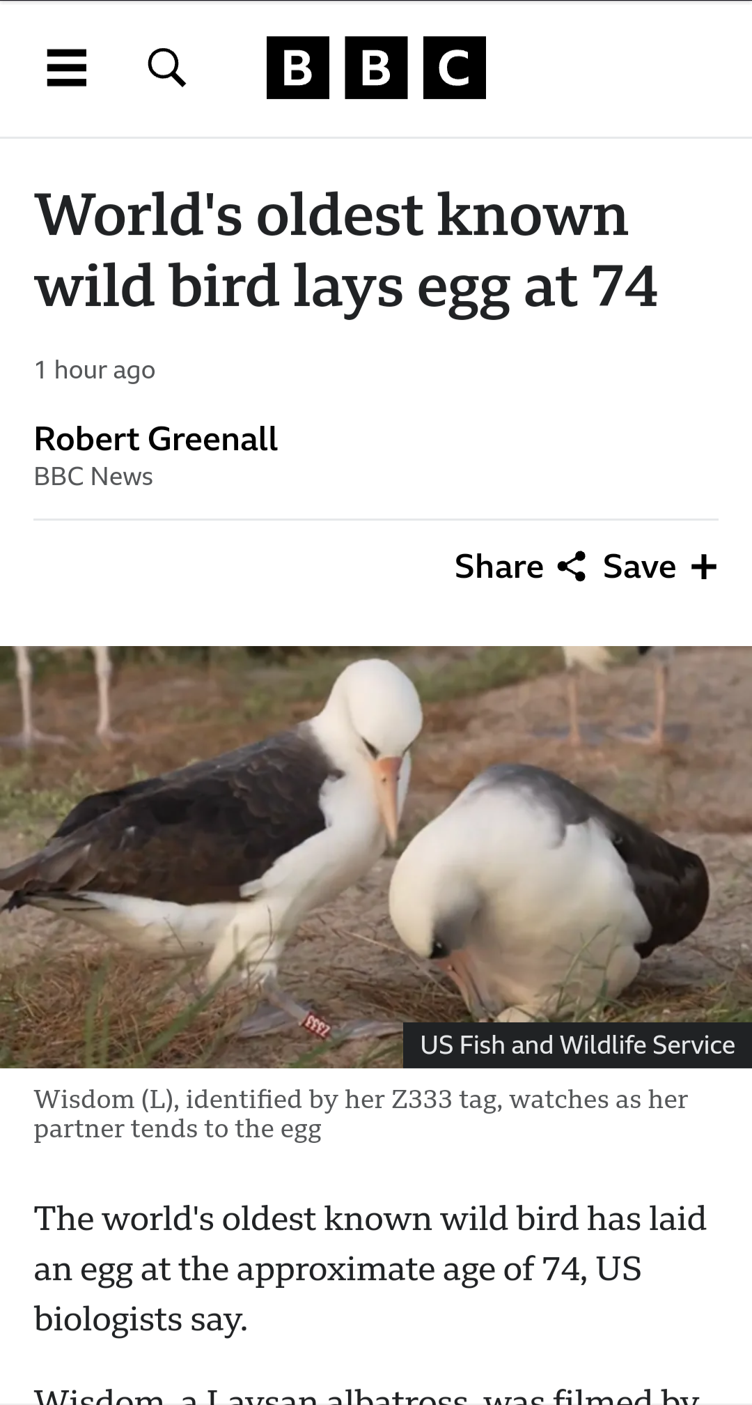 World's Oldest Wild Bird Makes History by Laying an Egg at 74