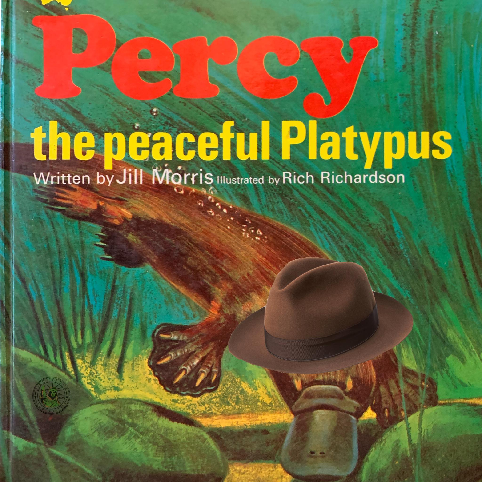 Wait, Is That a Platypus? PERRY the Platypus!?