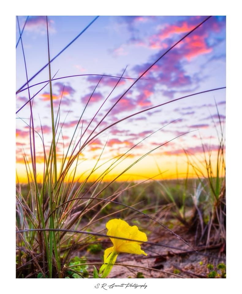 The serene beauty of the day coming to an end: Sunset