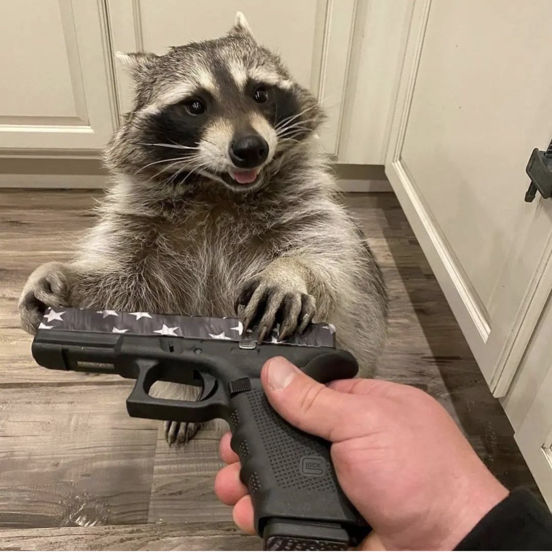 Embrace Your Inner Rebel: Do Crime