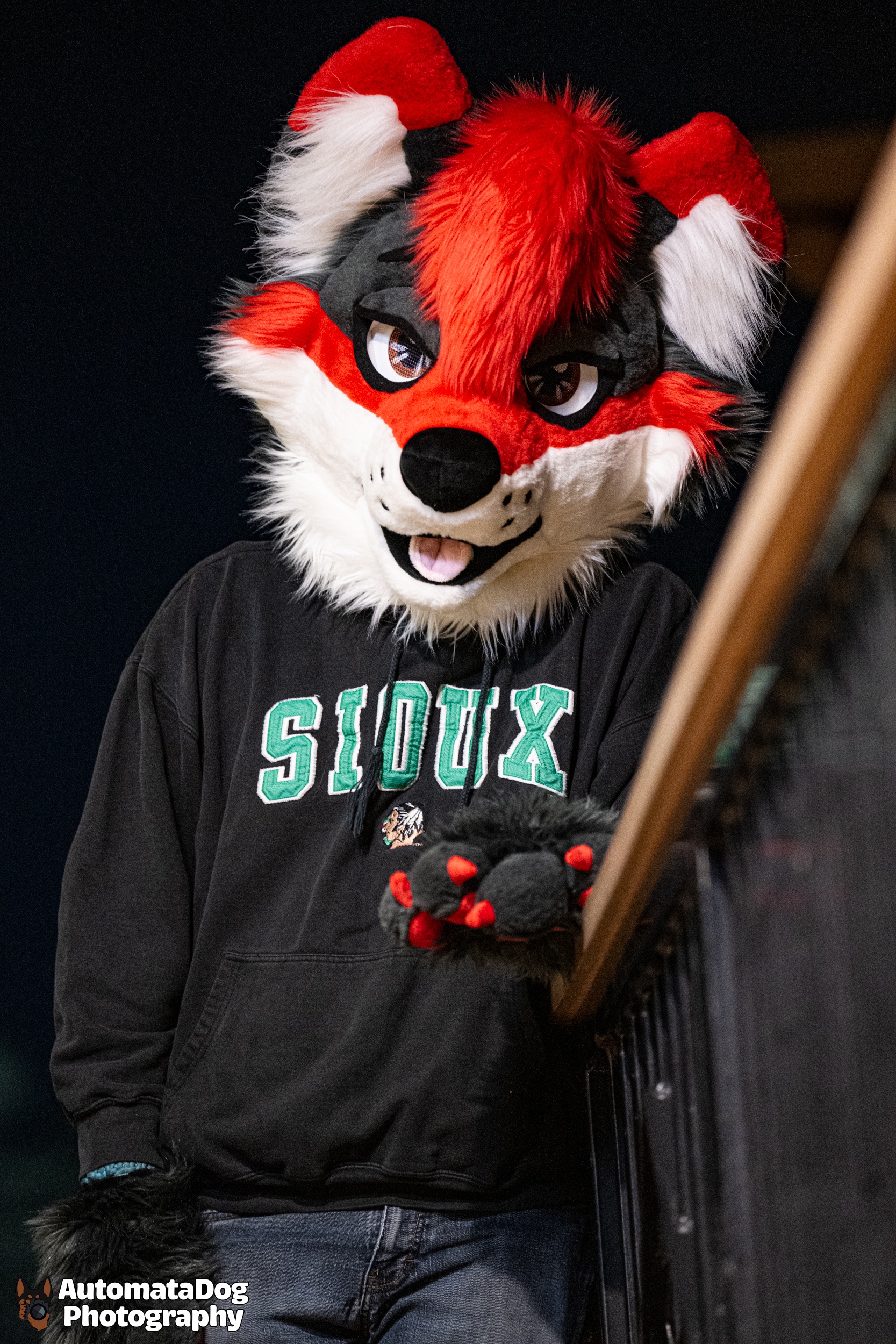 A Daily Snapshot from a Furry Photographer: Day 419