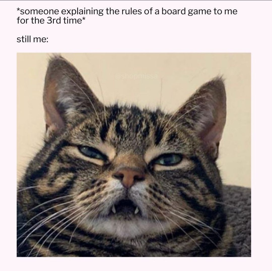 Memes Galore: Volume 24 - A Celebration for All