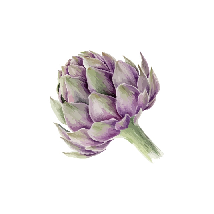 Exploring Ingredients: The Beauty of Vegetables and Flowers